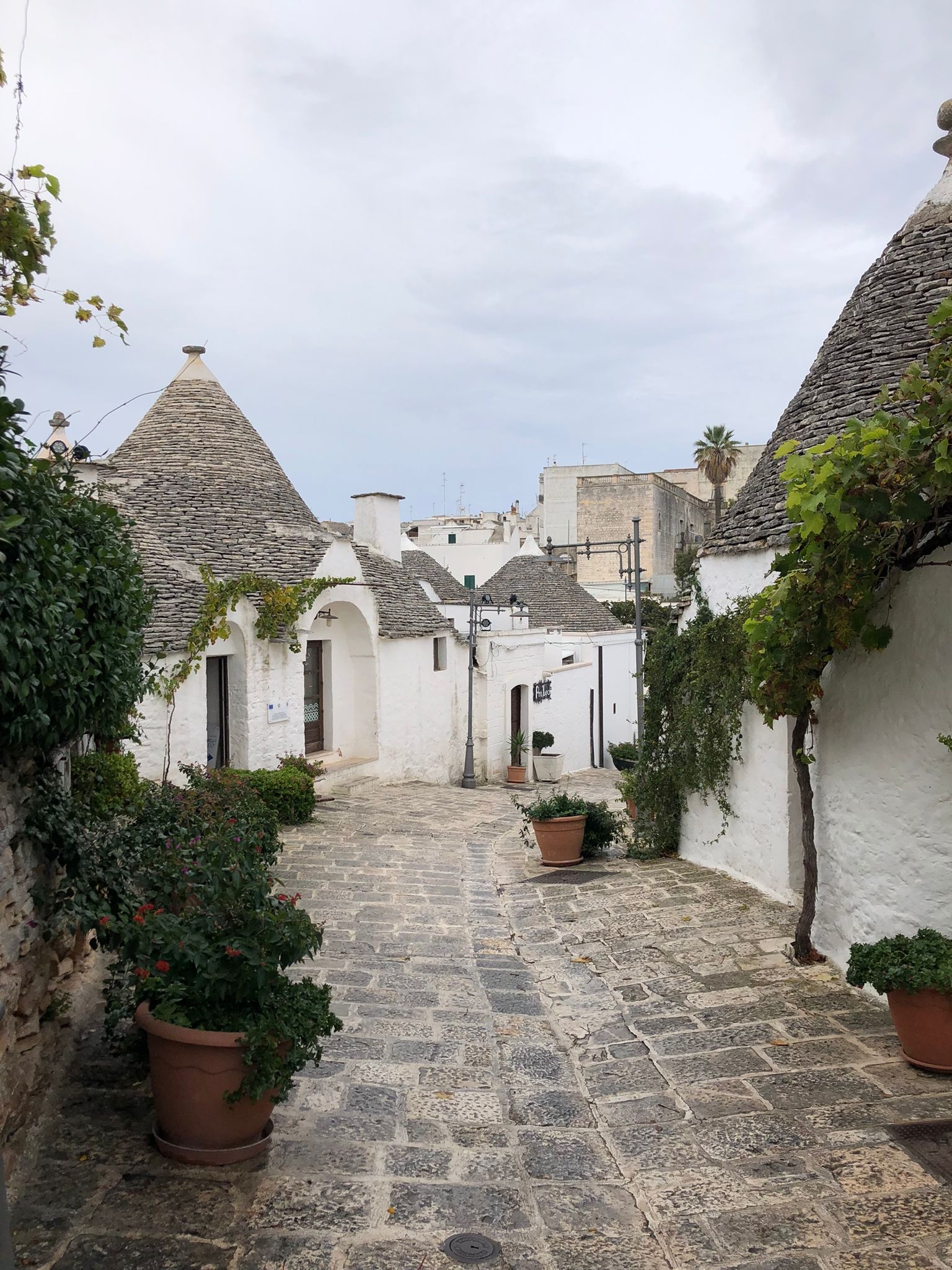 Unexpected Italian surprise, Enchanting Alberobello, 1540x2050 HD Phone