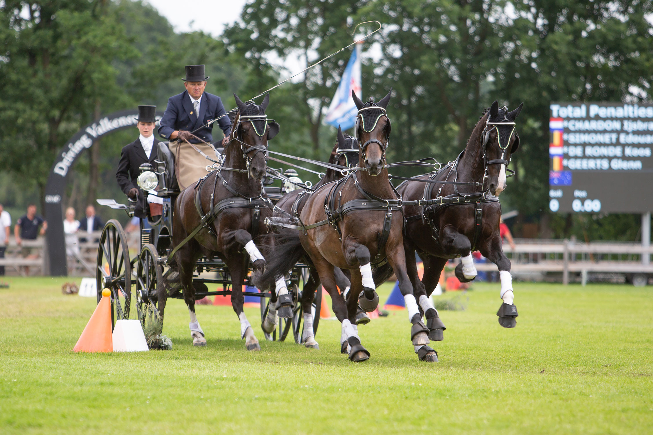 Driving Valkenswaard International, Carriage Driving Wallpaper, 2260x1510 HD Desktop