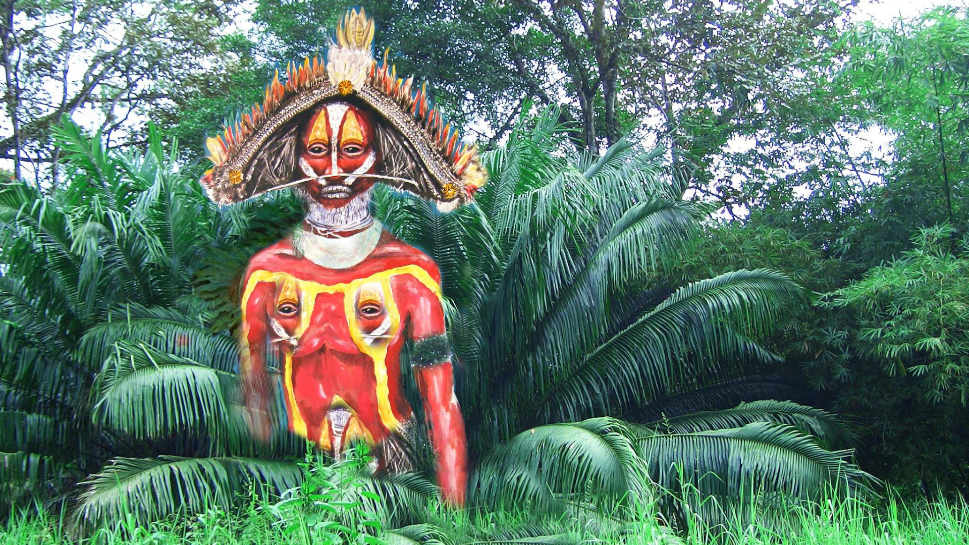 Warrior from Papua New Guinea, Wallpaperesque, Mobile u0026 Tablet, Papua New Guinea, 1920x1080 Full HD Desktop