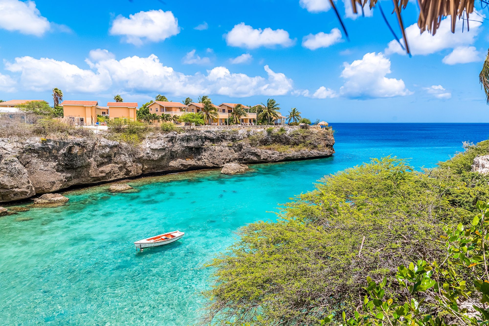 Snorkeling in Curacao, Underwater wonders, Coral reefs, Marine biodiversity, 2000x1340 HD Desktop