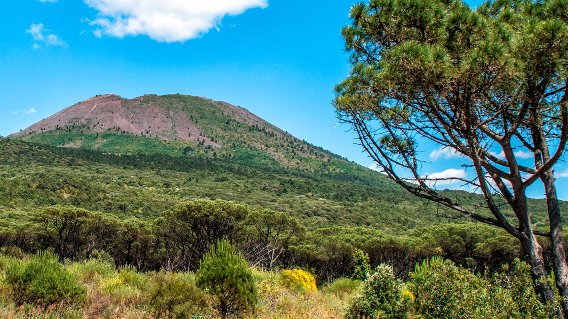 Vesuvio, Guided tour, 4x4 SUV, 1920x1080 Full HD Desktop