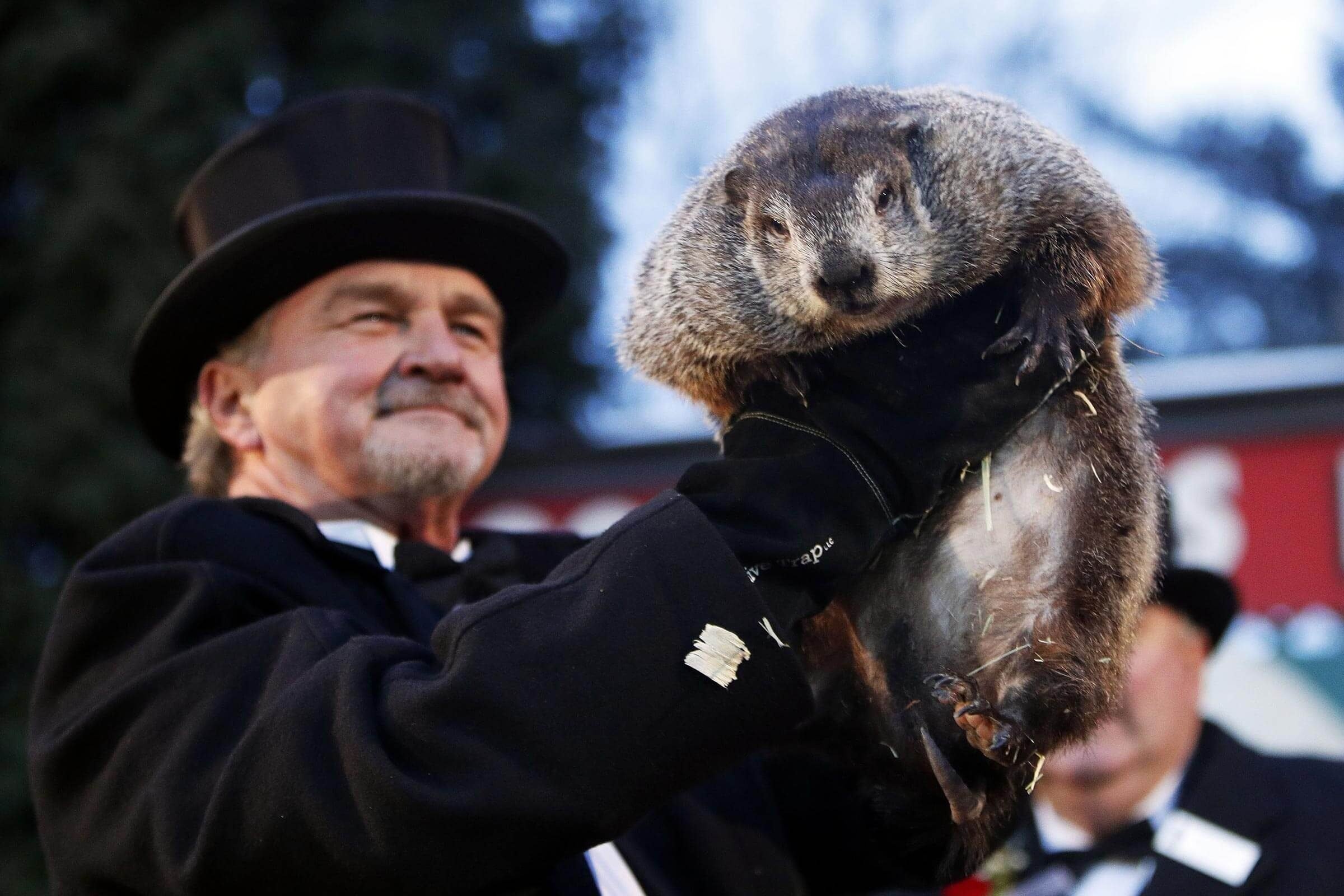 Groundhog, Surprising facts, Groundhog Day tradition, Readers Digest, 2400x1600 HD Desktop