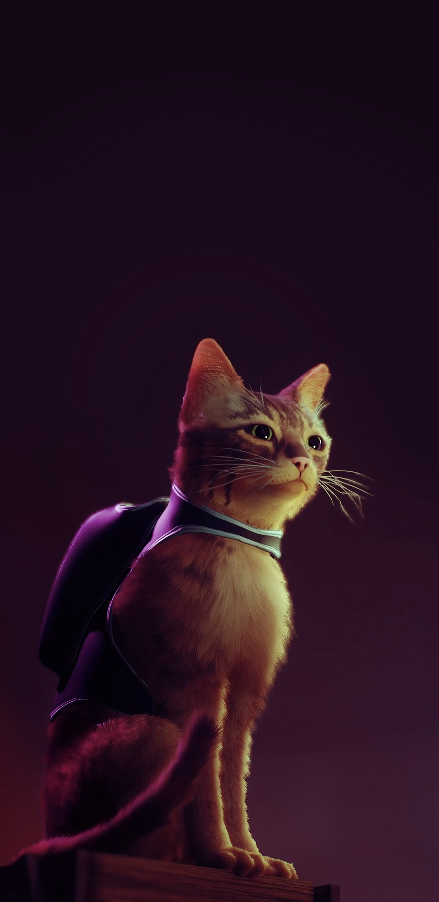 Stray game, Monocle-wearing cat, Unique wallpaper, Cat with monocle, 1440x2960 HD Phone