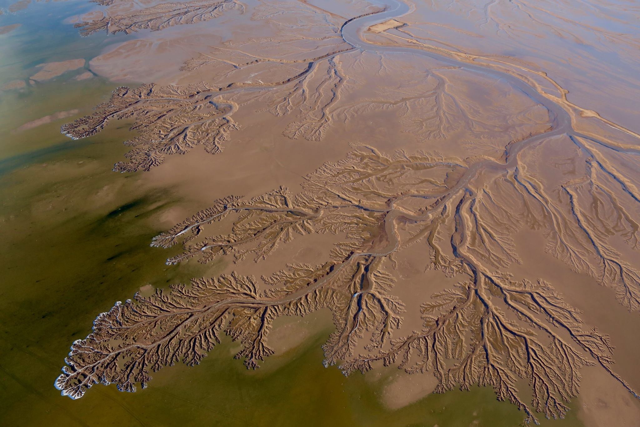 The Colorado River, Restoration collaboration, Water conservation, Reviving the river, 2050x1370 HD Desktop