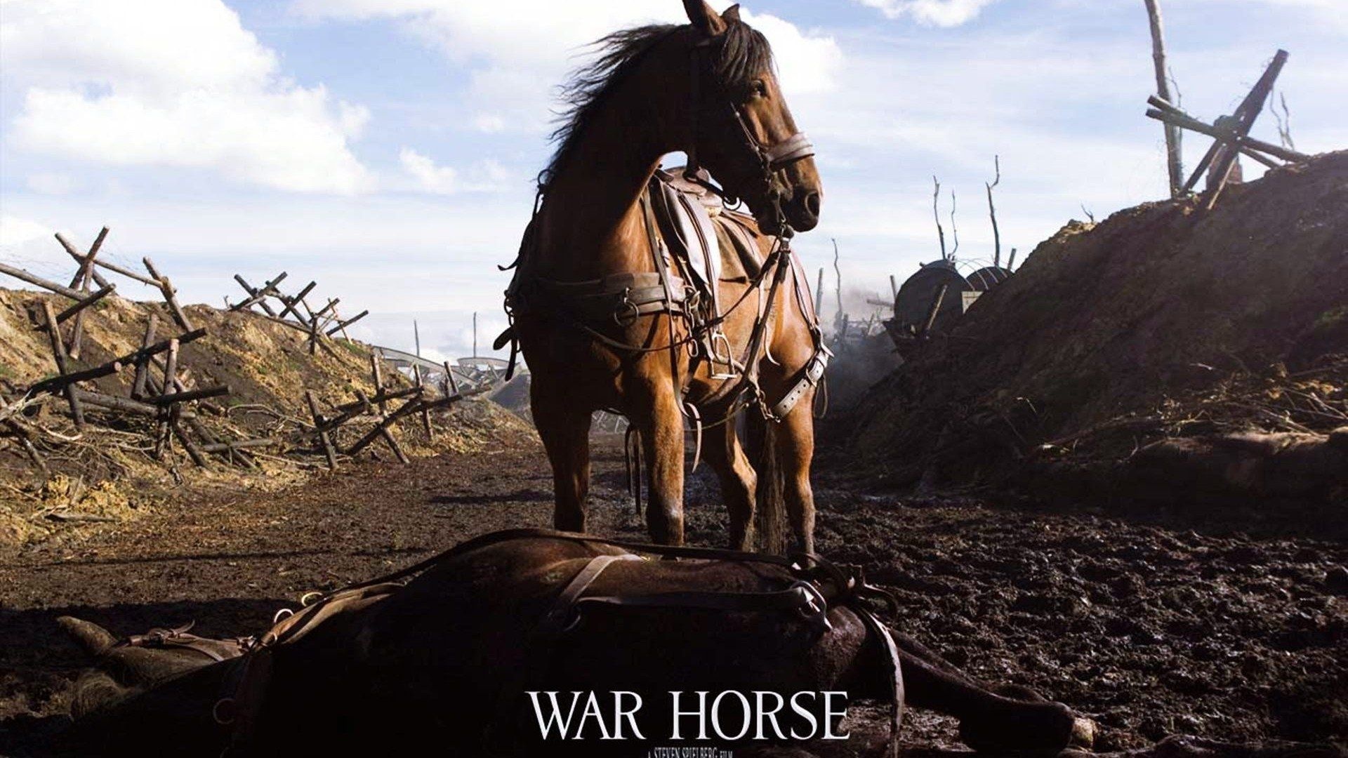 War Horse, Historical drama, Powerful bond, Emotional journey, 1920x1080 Full HD Desktop