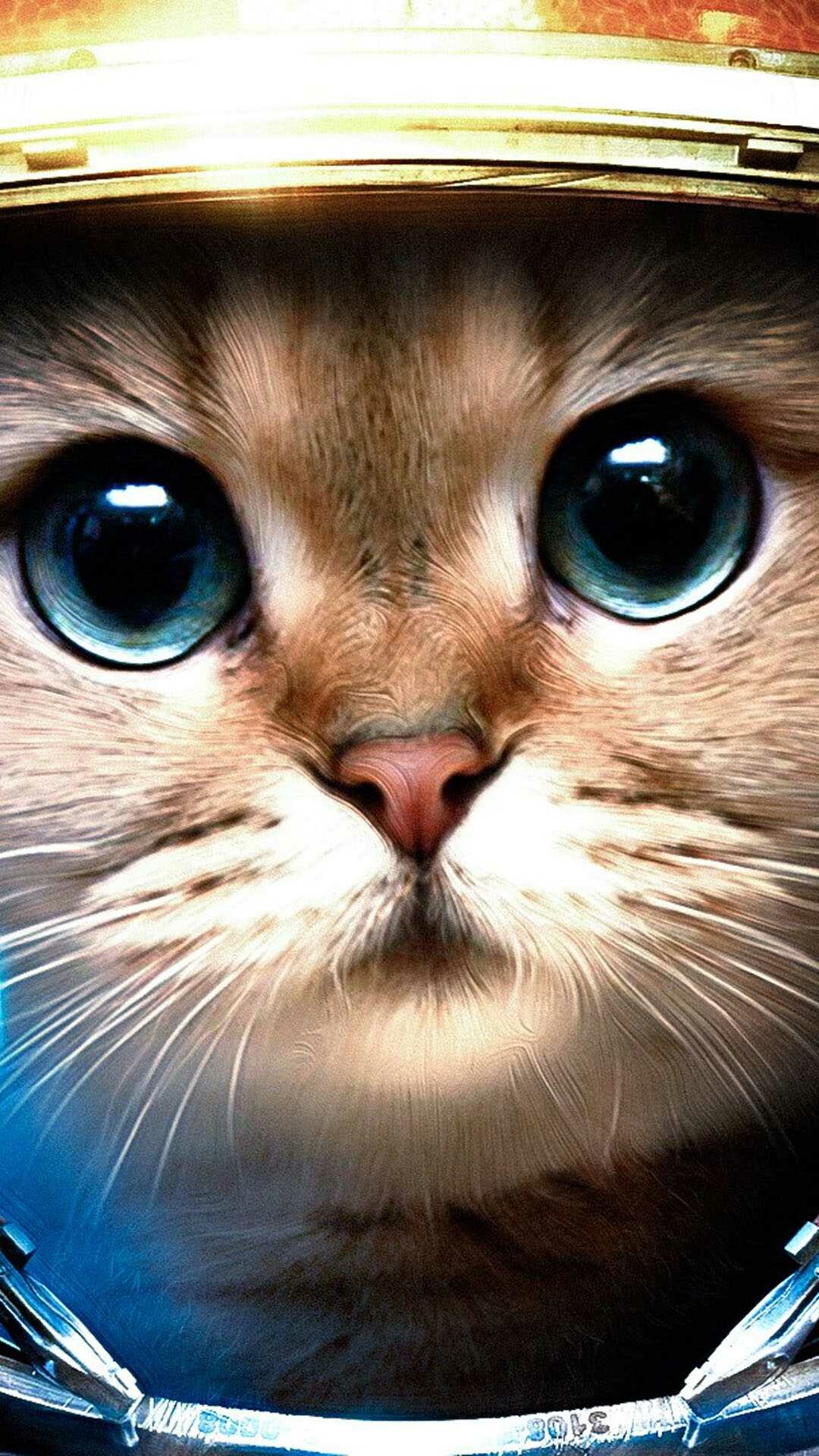 Kitten wallpaper, Lovely companion, 1080x1920 Full HD Phone