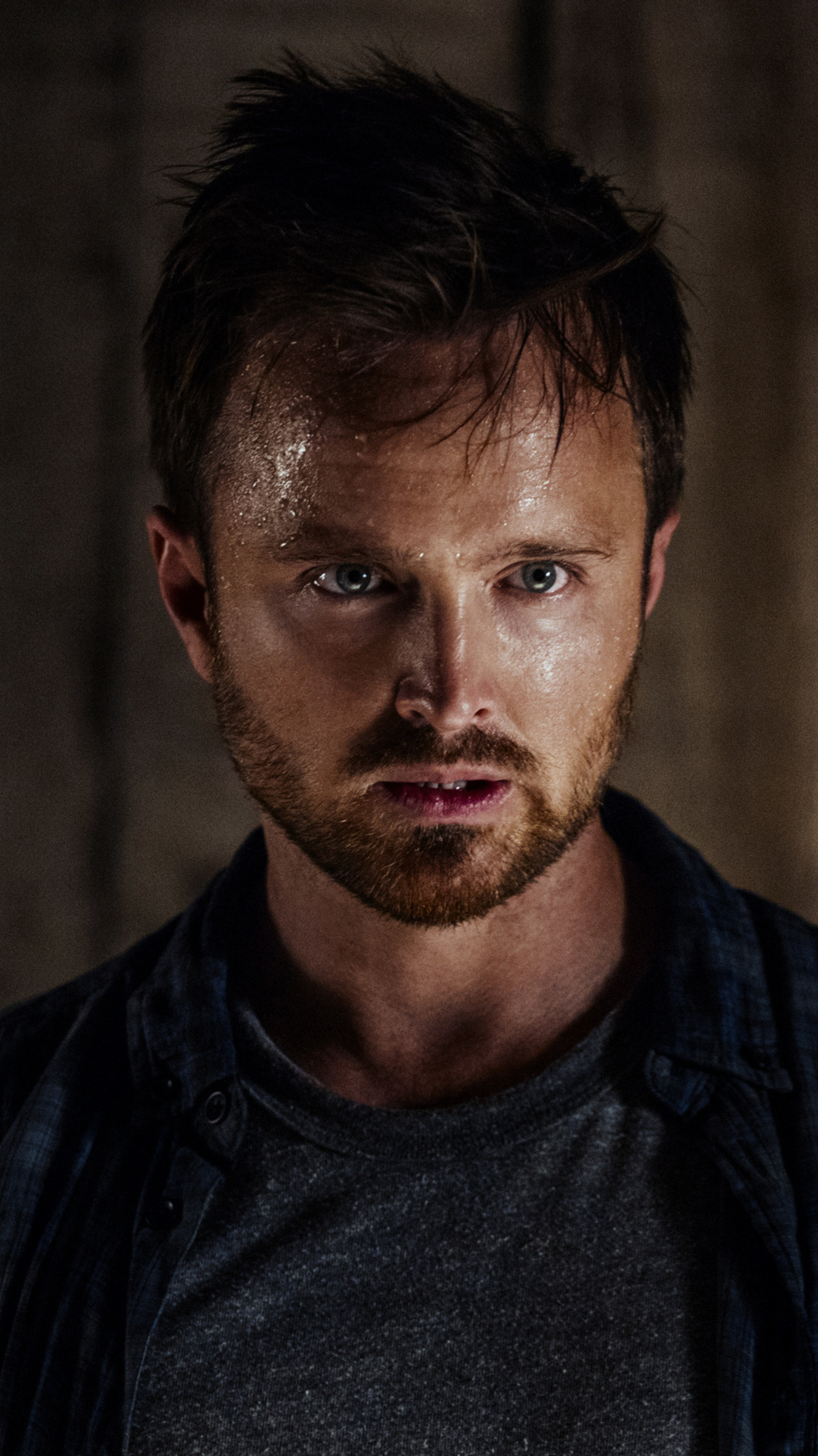 Aaron Paul, Movies, The Path, TV Series, 2160x3840 4K Phone