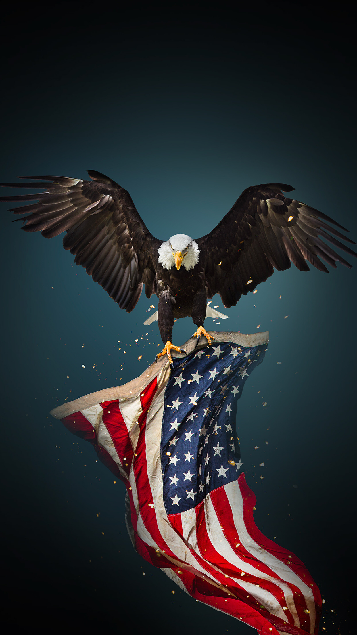 Eagle, American Flag Wallpaper, 1250x2210 HD Phone