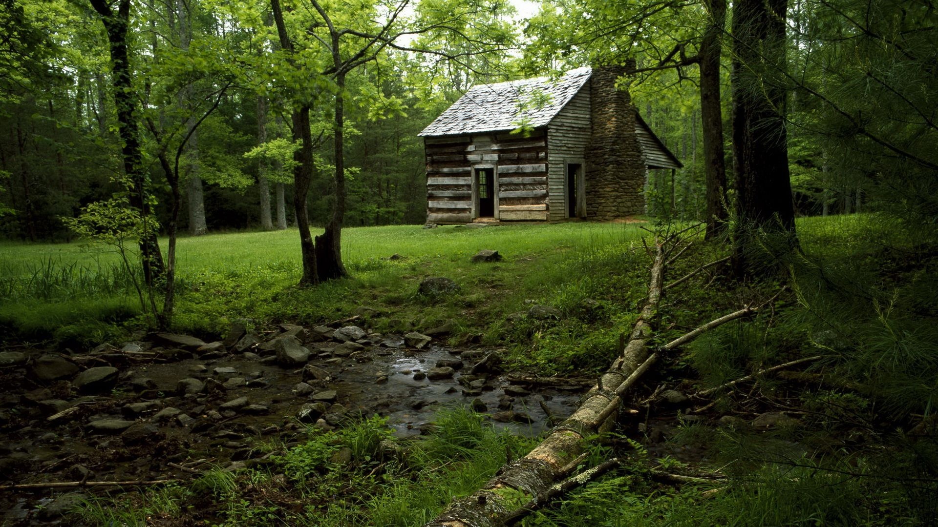 Forest Cabin Wallpapers - Top Free Forest Cabin Backgrounds 1920x1080