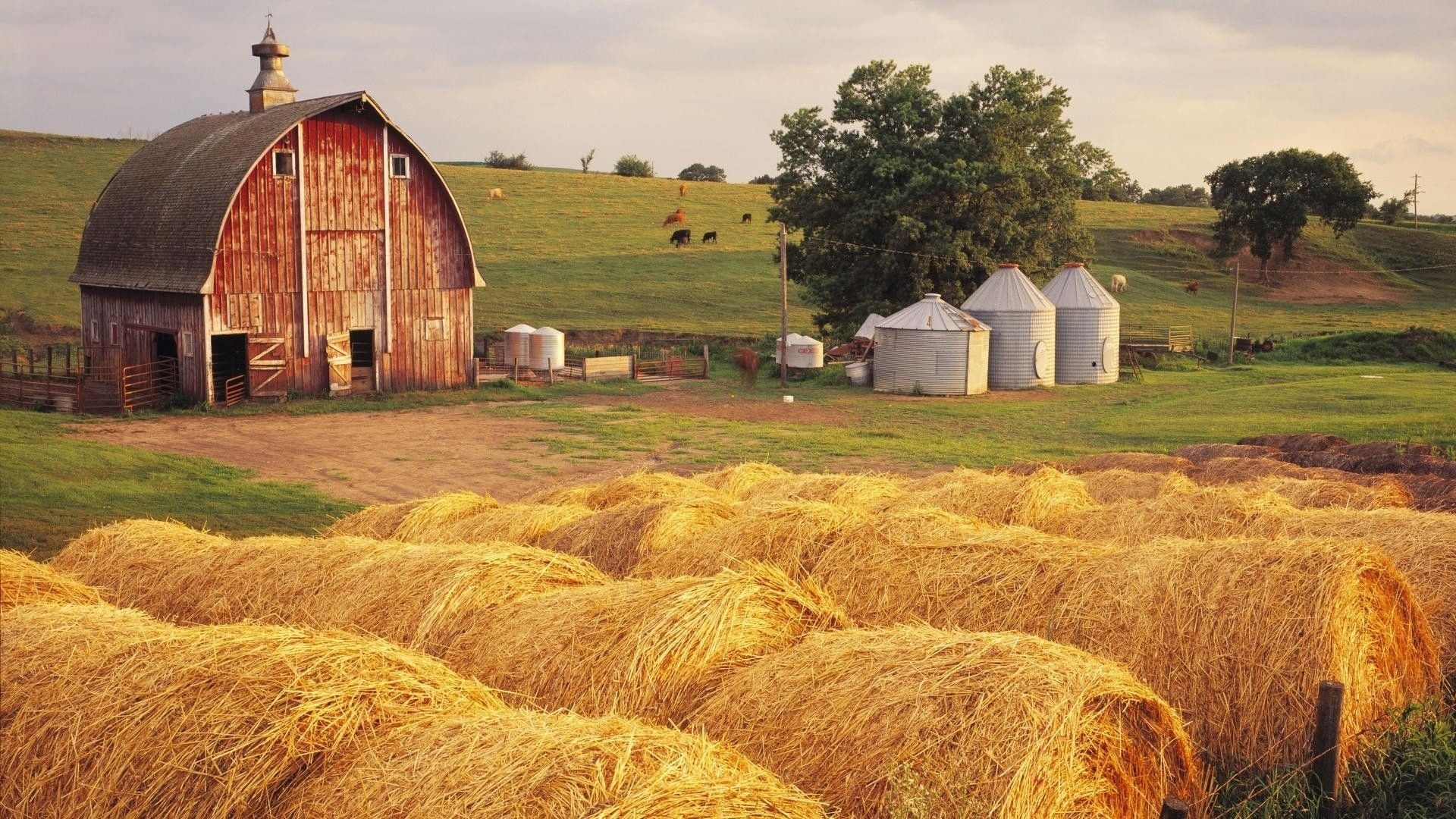 Farming wallpapers, Agriculture backgrounds, Rural landscapes, Farm life, 1920x1080 Full HD Desktop