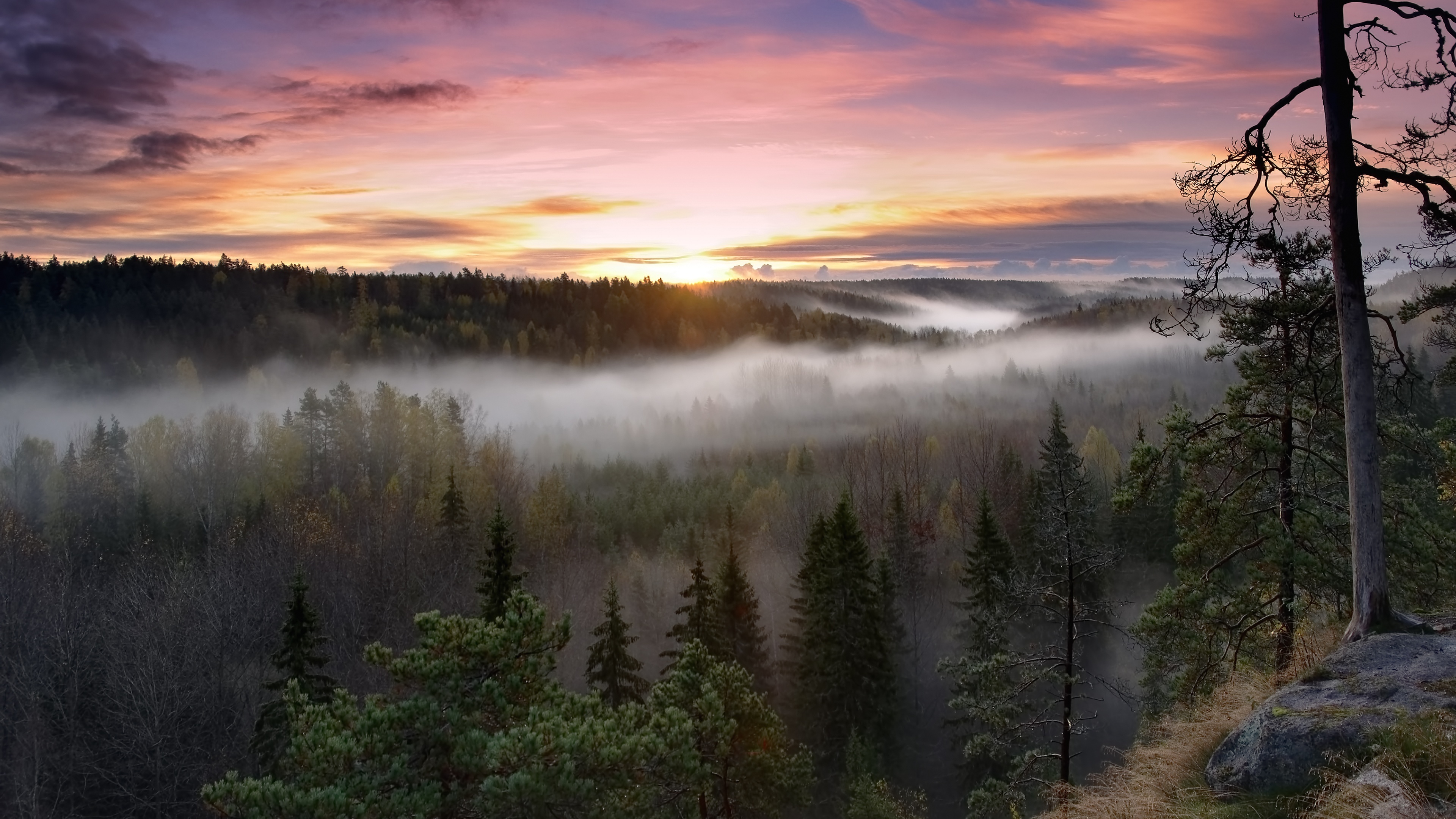 Noux National Park, Finland Wallpaper, 3840x2160 4K Desktop