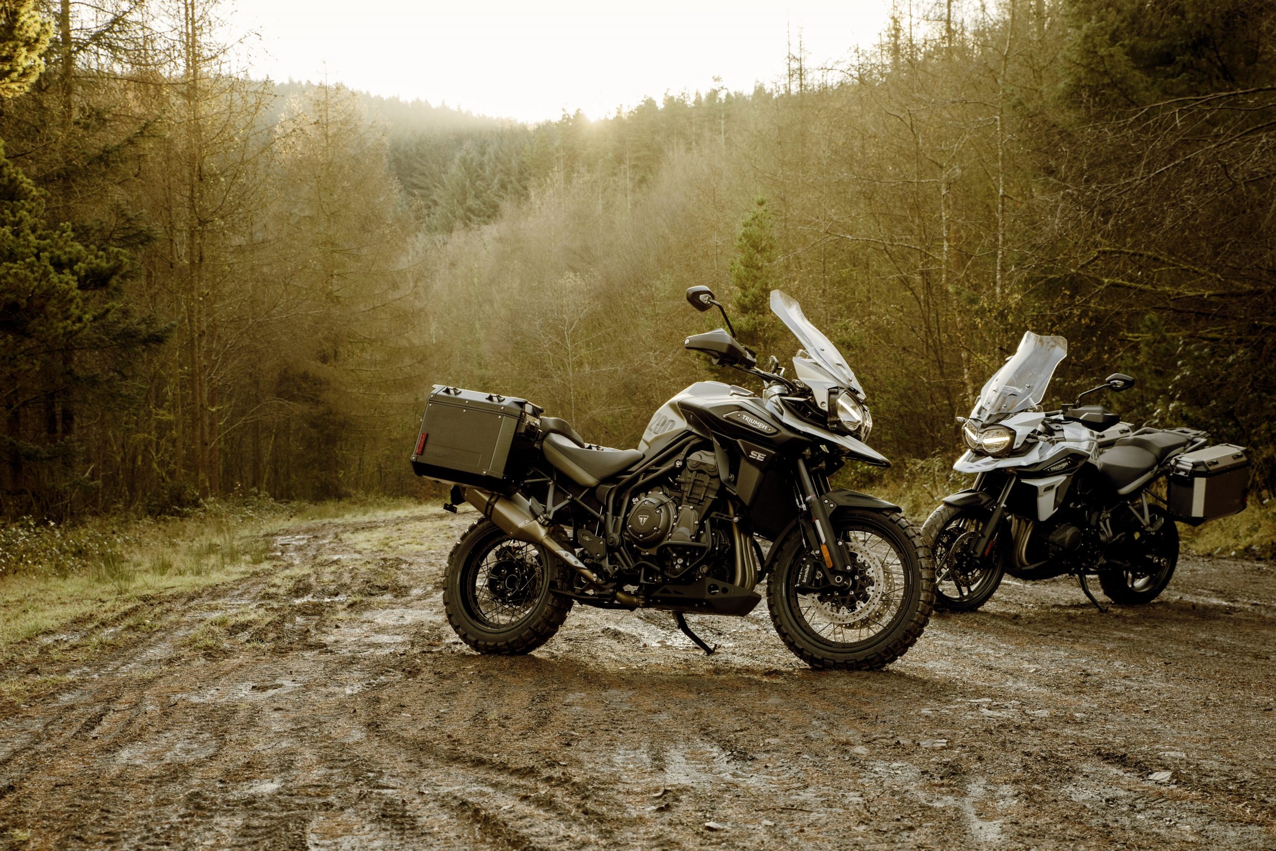 Triumph Tiger 1200, Special editions, Adventure bike rider, Range, 2560x1710 HD Desktop