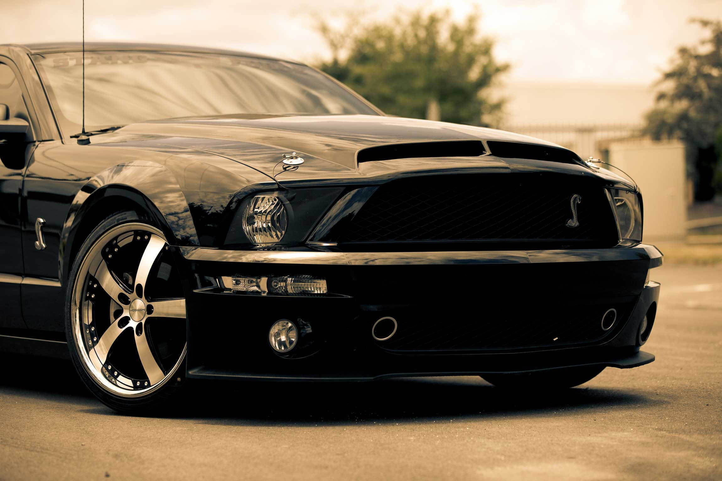 Cobra 2010, Mustang Wallpaper, 2300x1540 HD Desktop