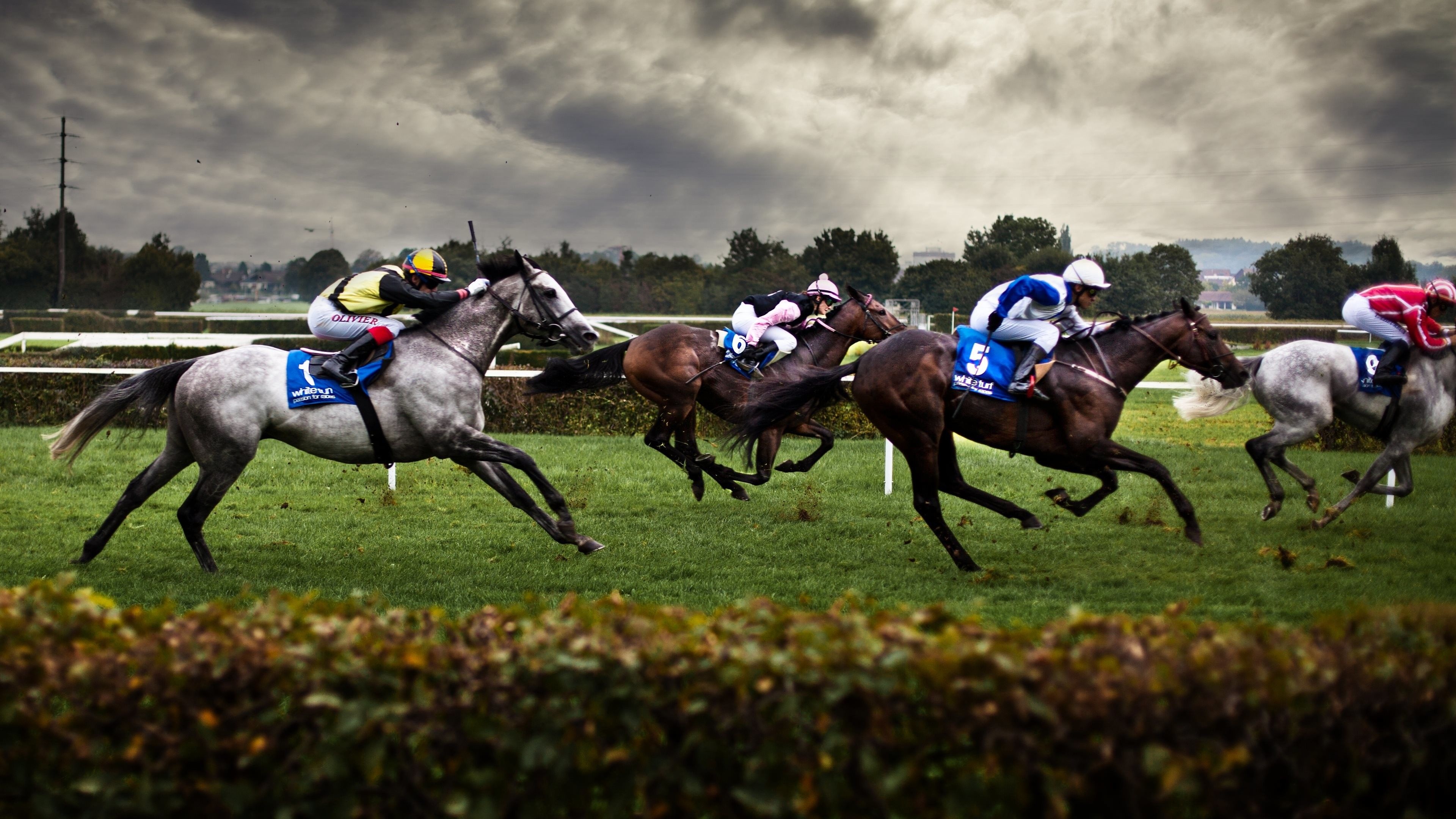 Horse racing, Kentucky Derby, Thrilling sport, Equestrian excitement, 3840x2160 4K Desktop