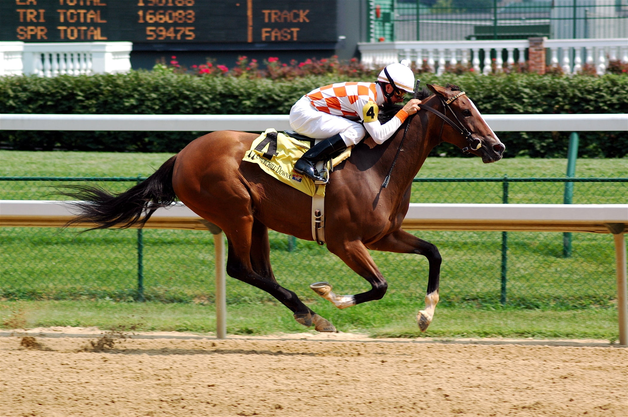 Churchill Downs, Equitation Wallpaper, 2100x1400 HD Desktop