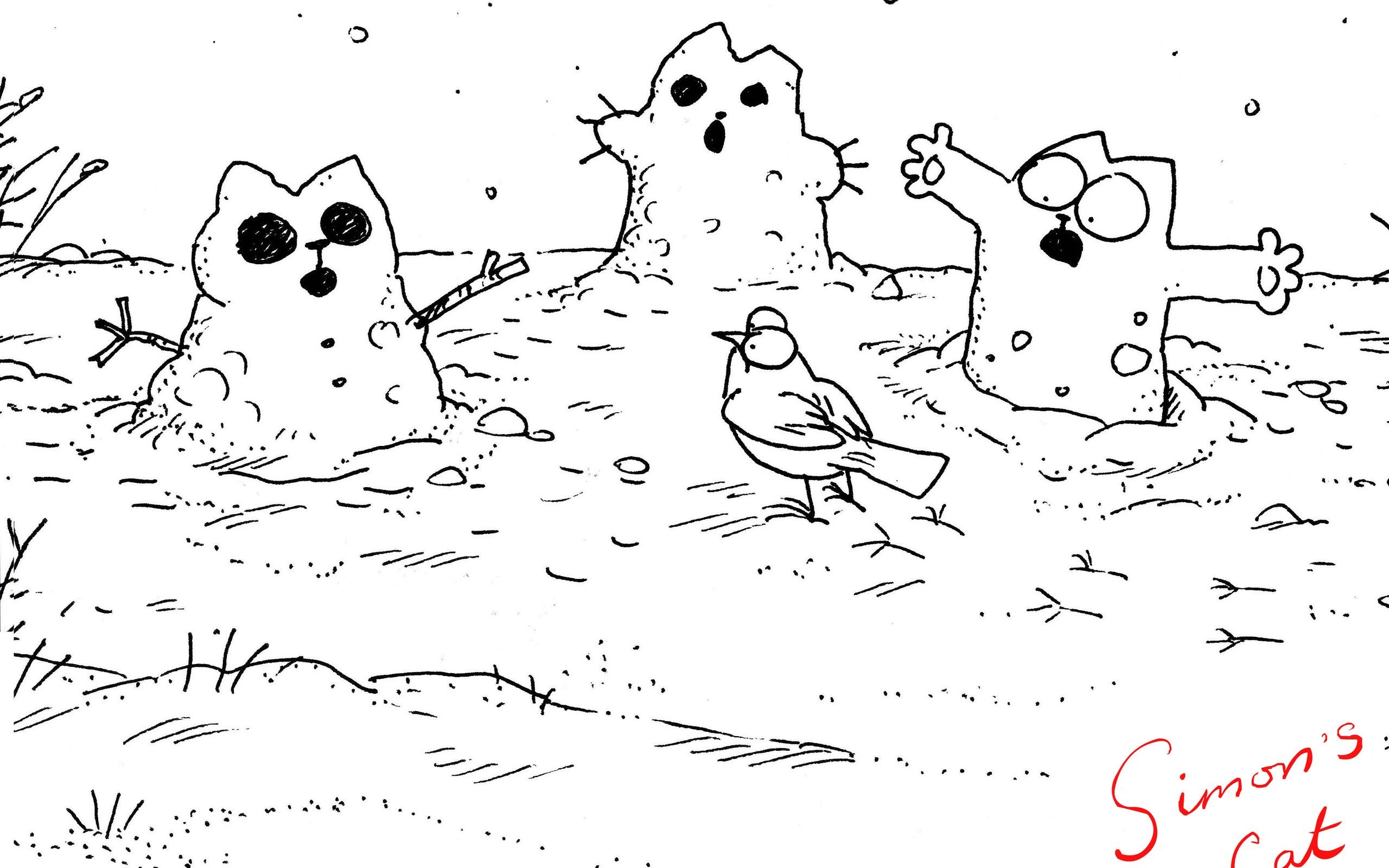 Simon's cat, Art by Simon, Whiskered cuteness, 2560x1600 HD Desktop