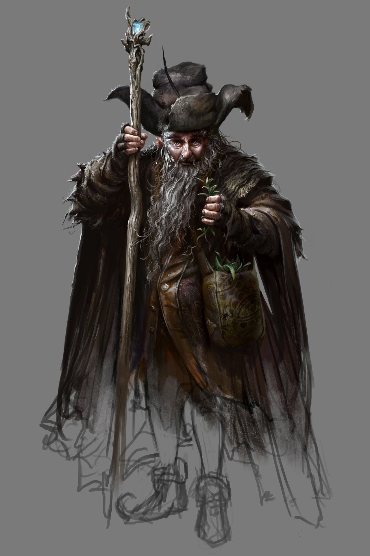 Radagast fan art, The Hobbit, Magical and whimsical, Artistic interpretation, 1280x1920 HD Phone