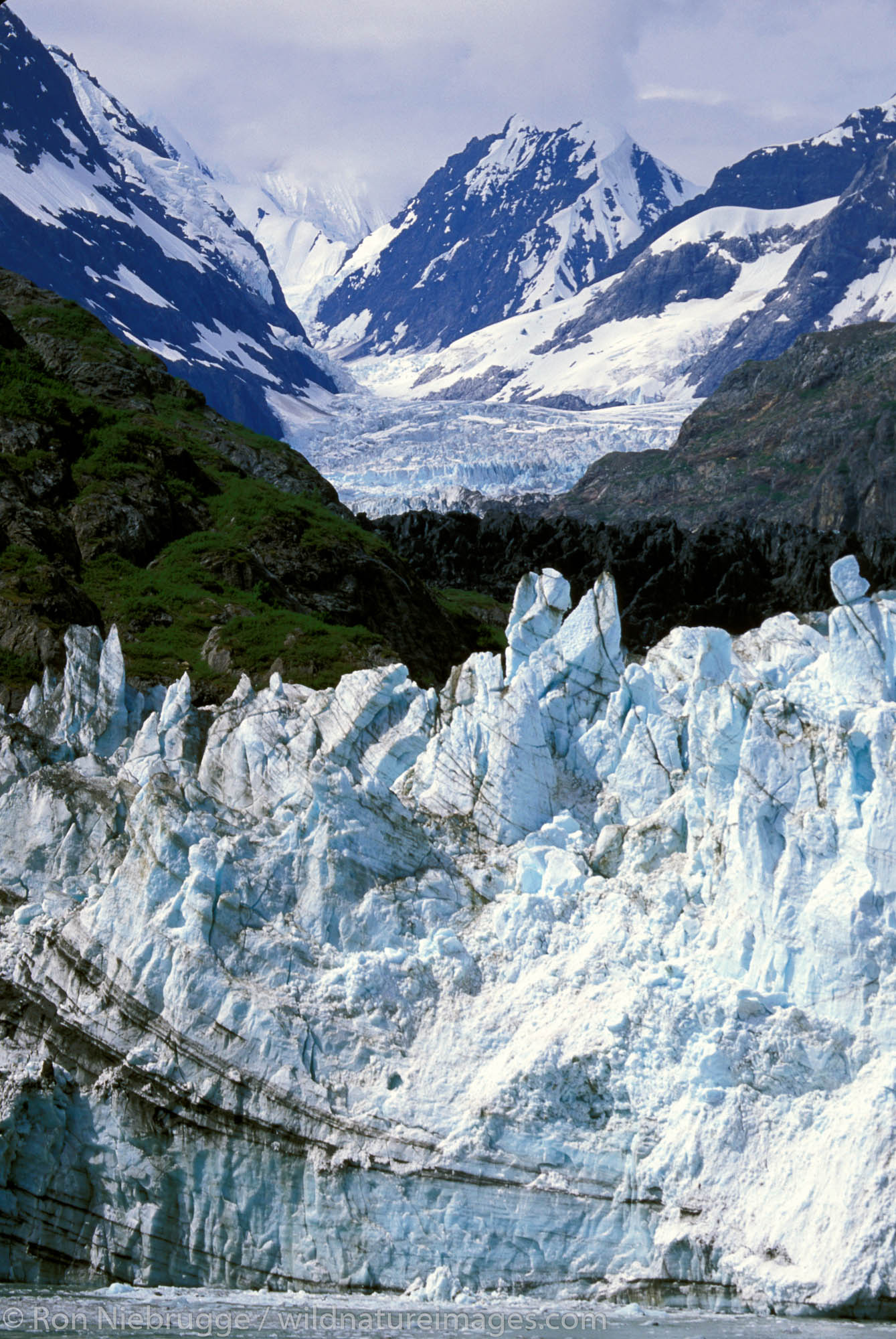 Glacier Bay National Park, Ron Niebrugge photos, Stunning images, Unforgettable moments, 1340x2000 HD Phone