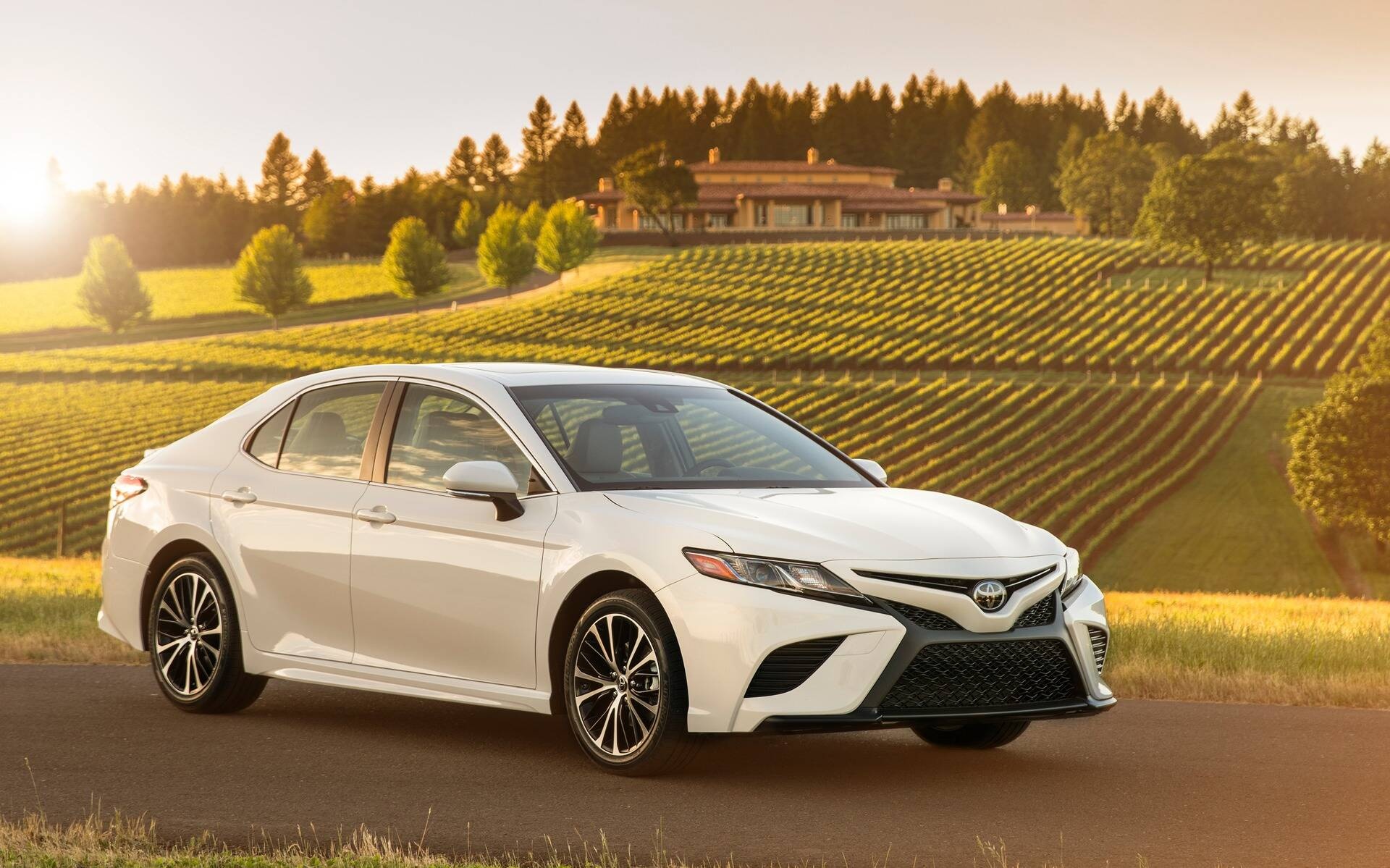 Dayton vineyard, Toyota Camry Wallpaper, 1920x1200 HD Desktop