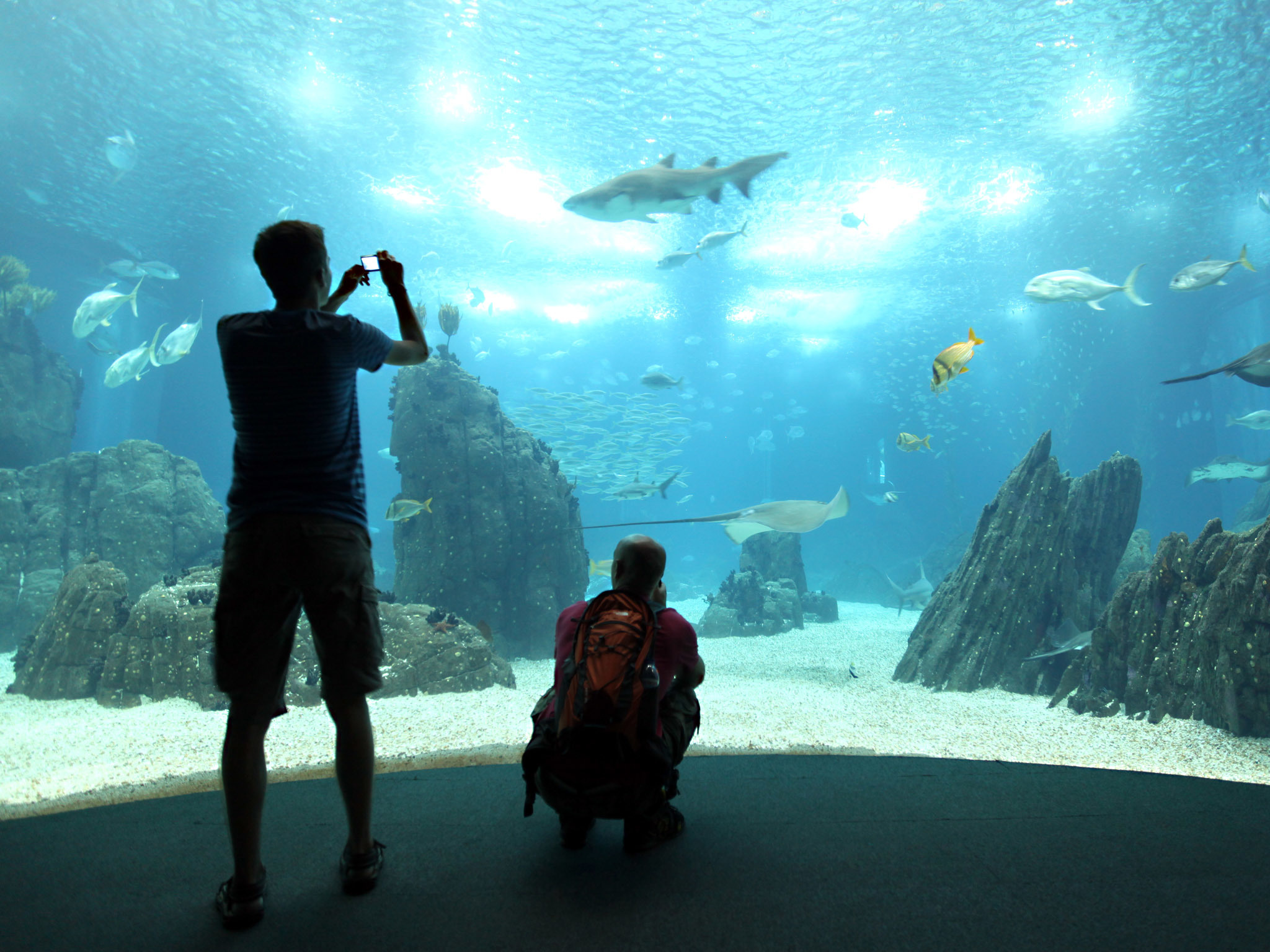 Attractions in Parque das Nações, Lisbon Oceanarium, 2050x1540 HD Desktop