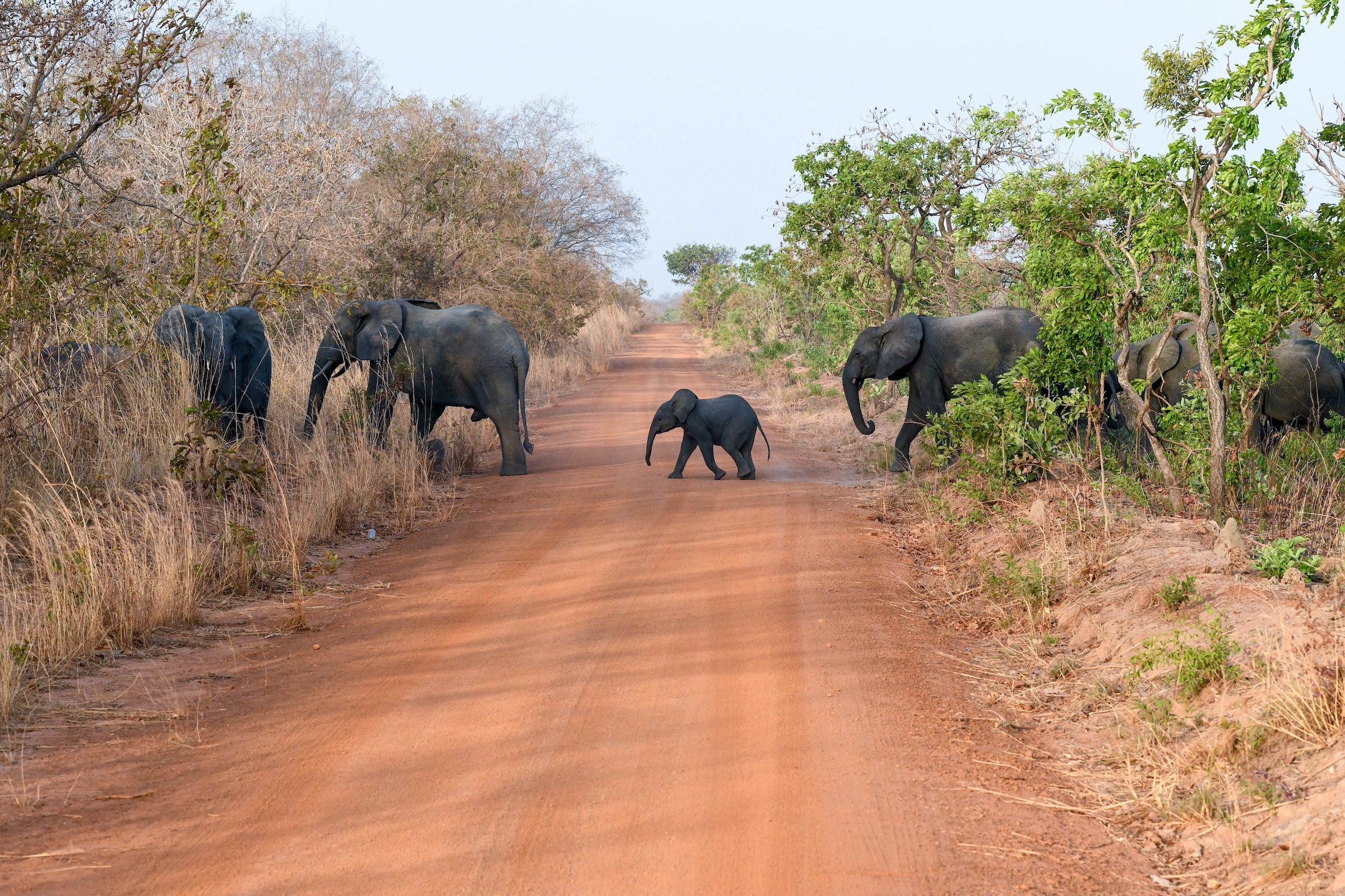 Burkina Faso travels, Burkina Faso travel guide, 2022 travelguide, 2400x1600 HD Desktop