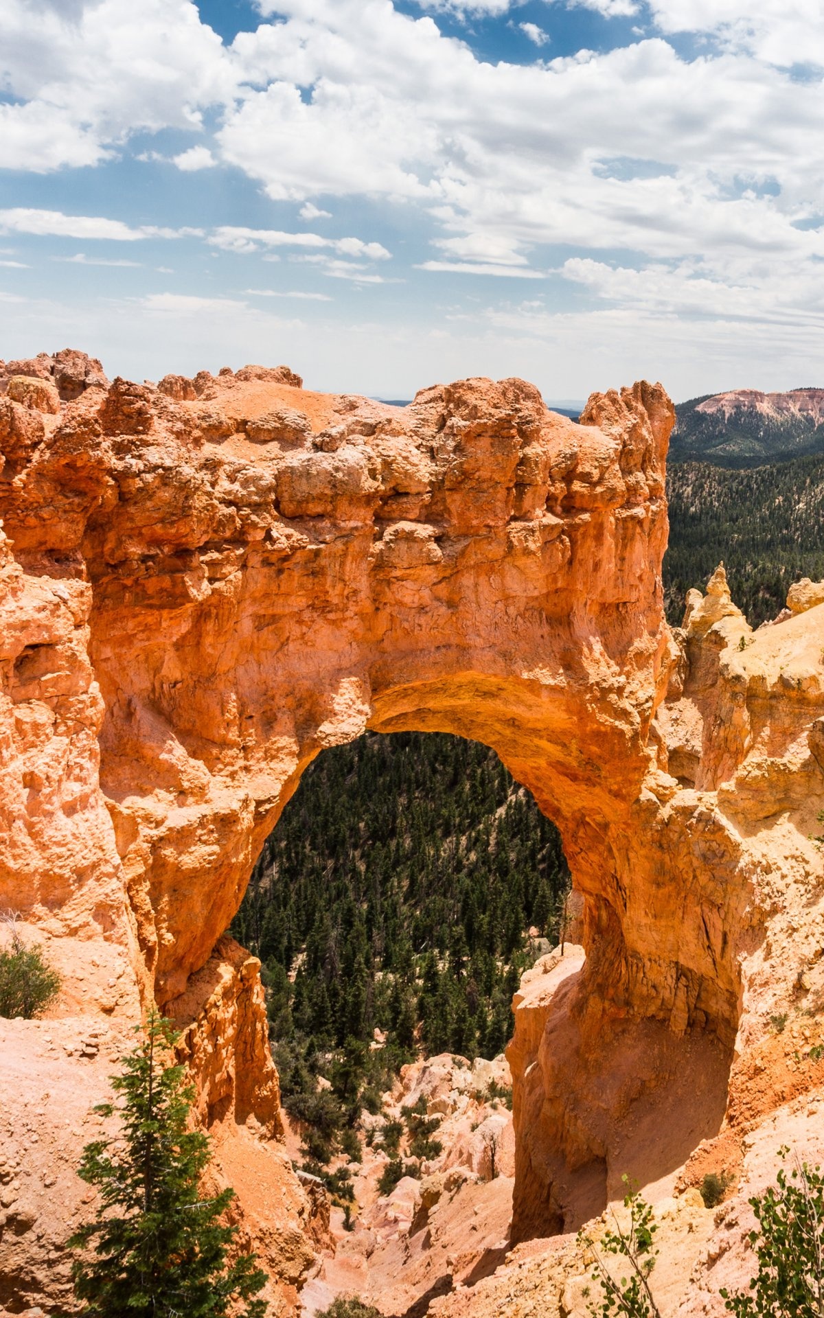 Earth, Bryce Canyon National Park, Natural wonders, National parks, 1200x1920 HD Phone