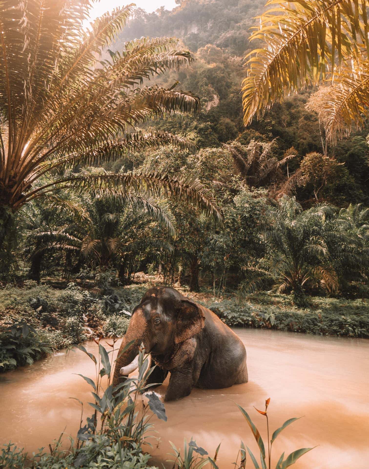 Khao Sok National Park, Nature lover's paradise, Serene landscapes, Epic adventures, 1520x1920 HD Phone