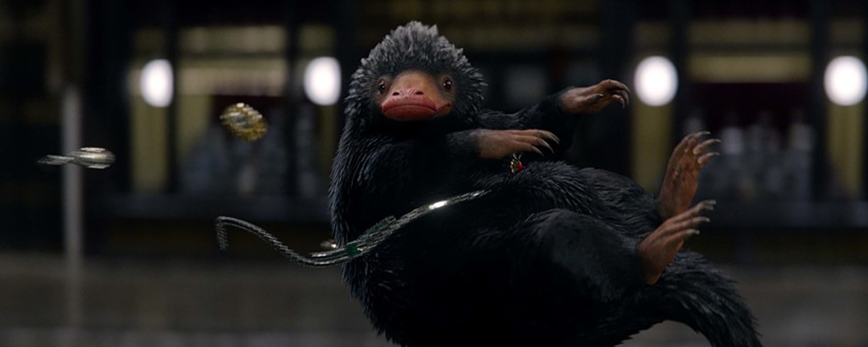 Niffler, Fantastic Beasts, Five reasons, Owning, 3000x1200 Dual Screen Desktop