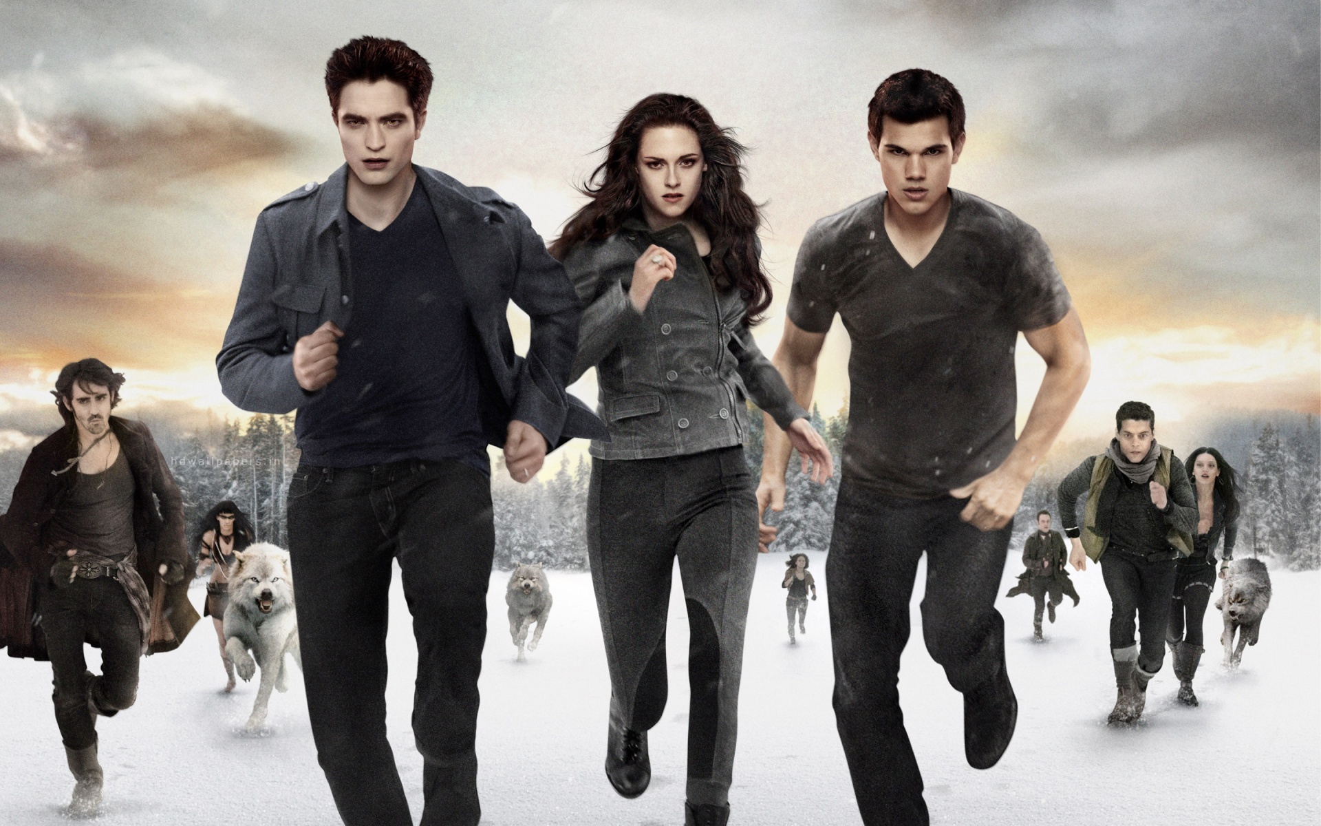 Breaking dawn saga, Star-studded cast, Celebrities in HD, Vampires and werewolves collide, 1920x1200 HD Desktop