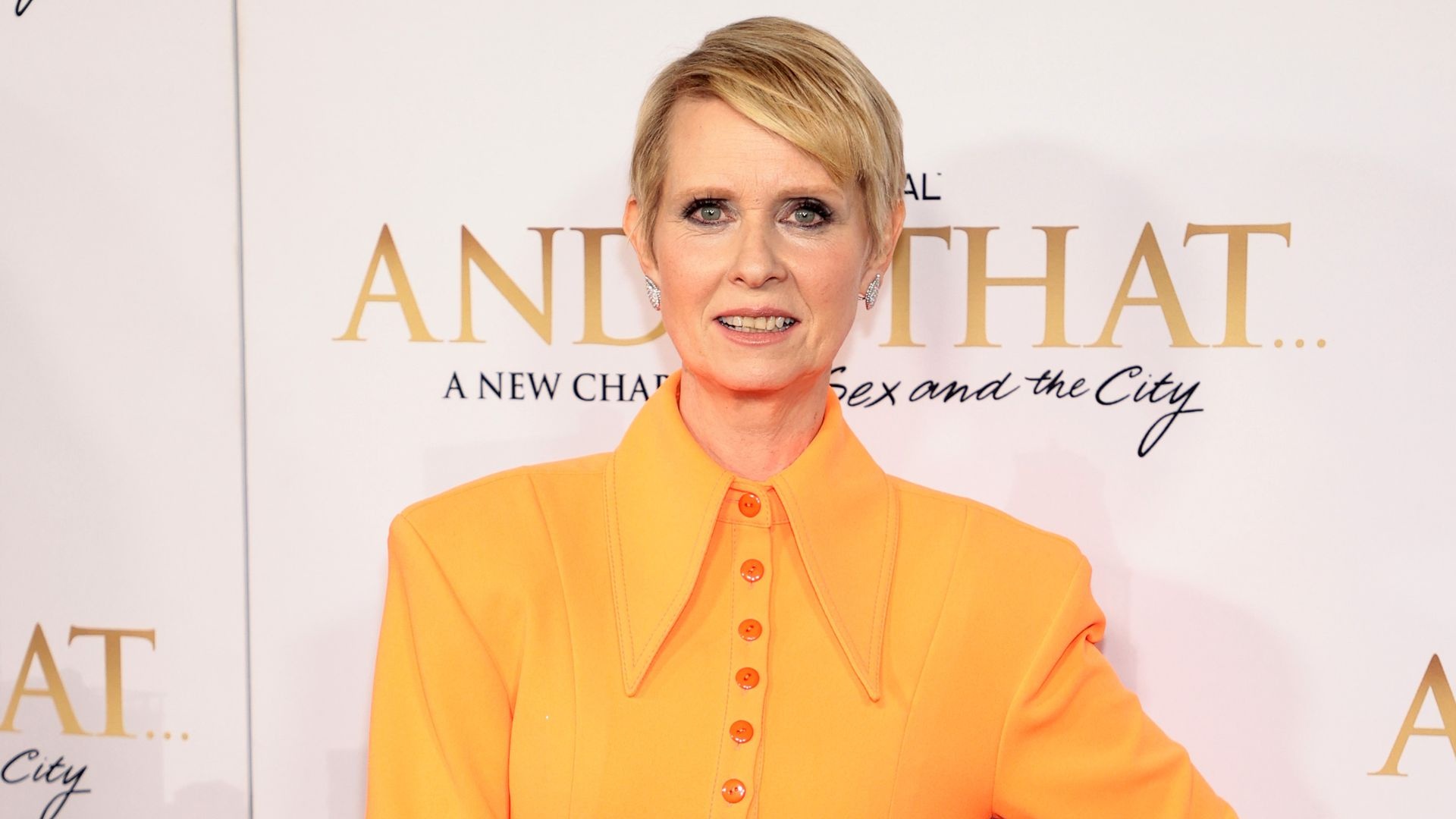 Cynthia Nixon TV Shows, Zgerte Cynthia Nixon bei, Cynthia Nixon, 1920x1080 Full HD Desktop