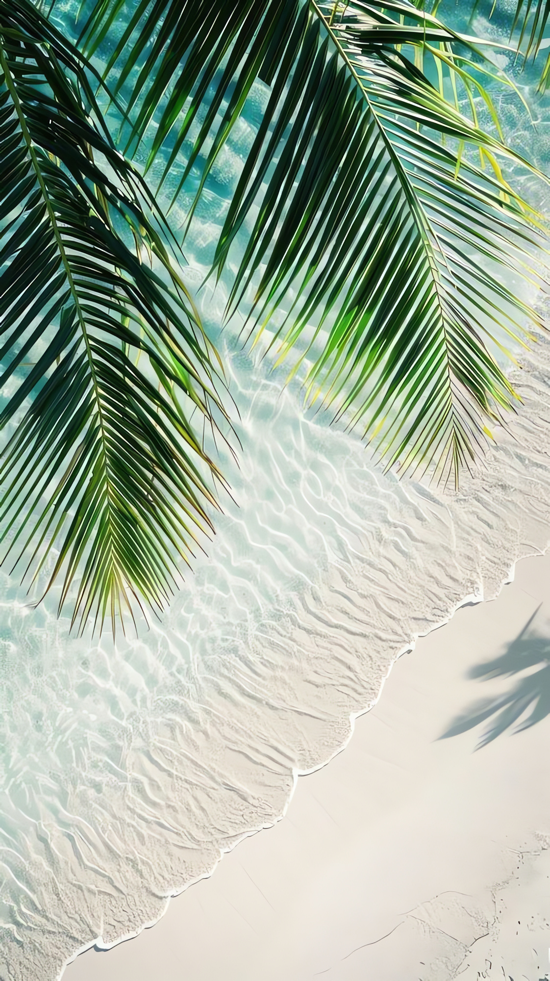 Beach Wallpapers, Ocean, Palm Leaves, Phone Background