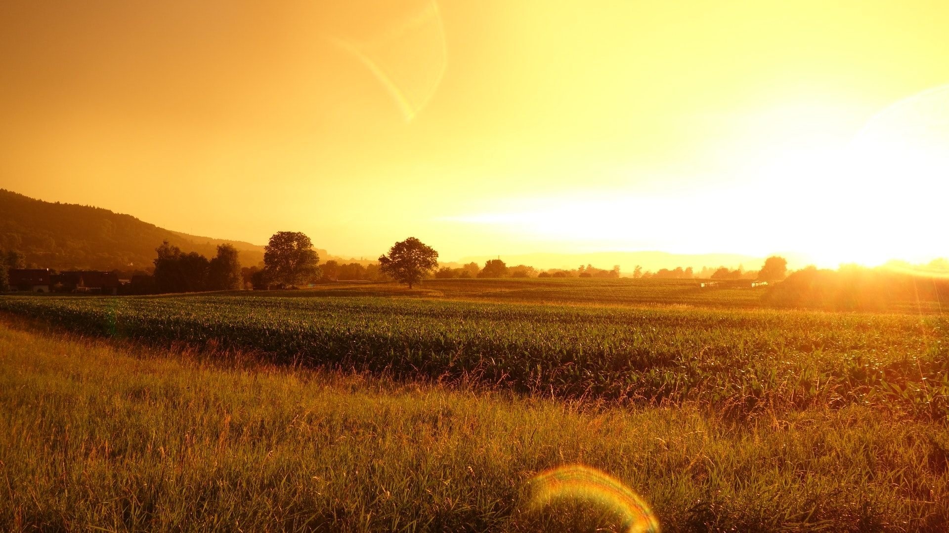 Beautiful farm wallpapers, Stunning backgrounds, Idyllic countryside, Farm beauty, 1920x1080 Full HD Desktop