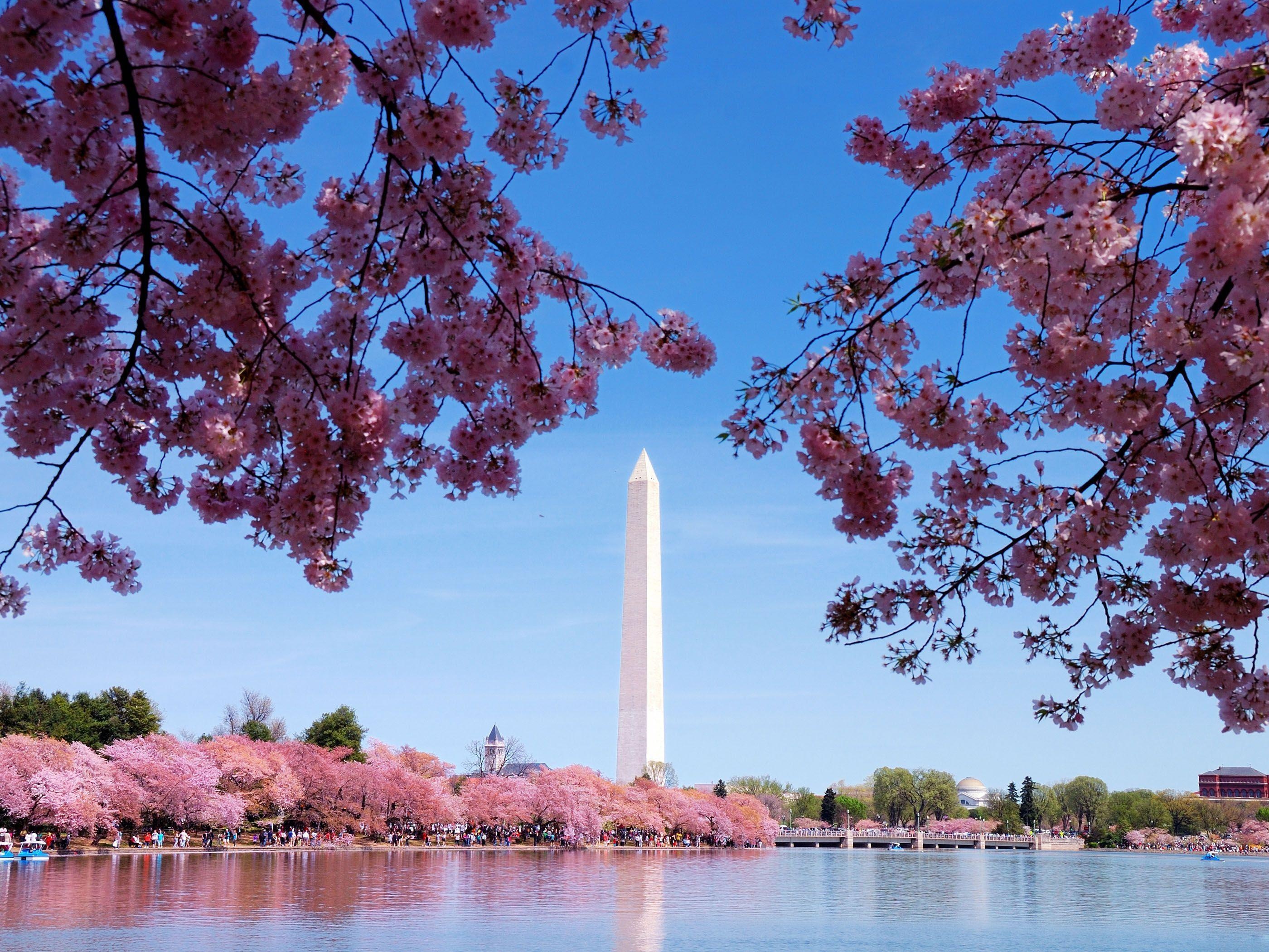 Washington Monument, Washington DC Skyline Wallpaper, 2800x2100 HD Desktop