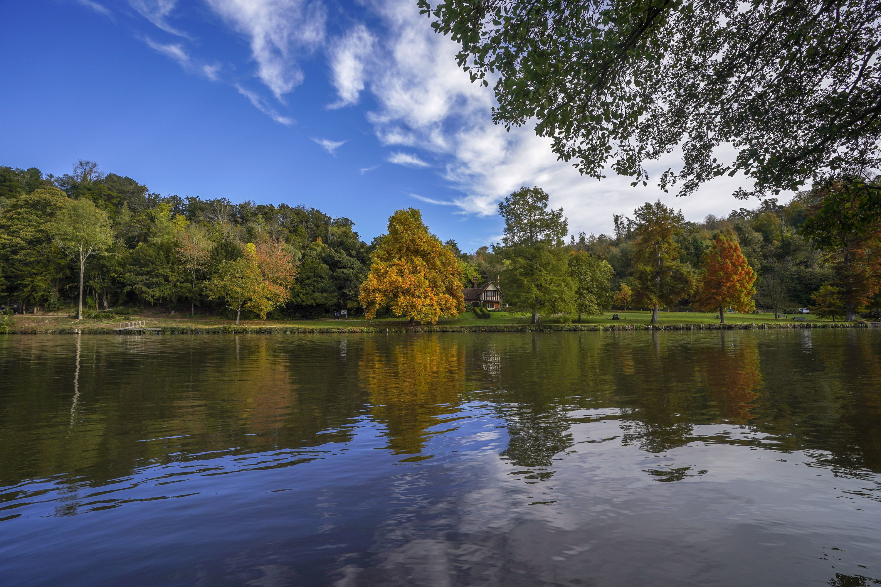 The River Thames, London's biodiversity, Sharks, Seals, 3000x2000 HD Desktop