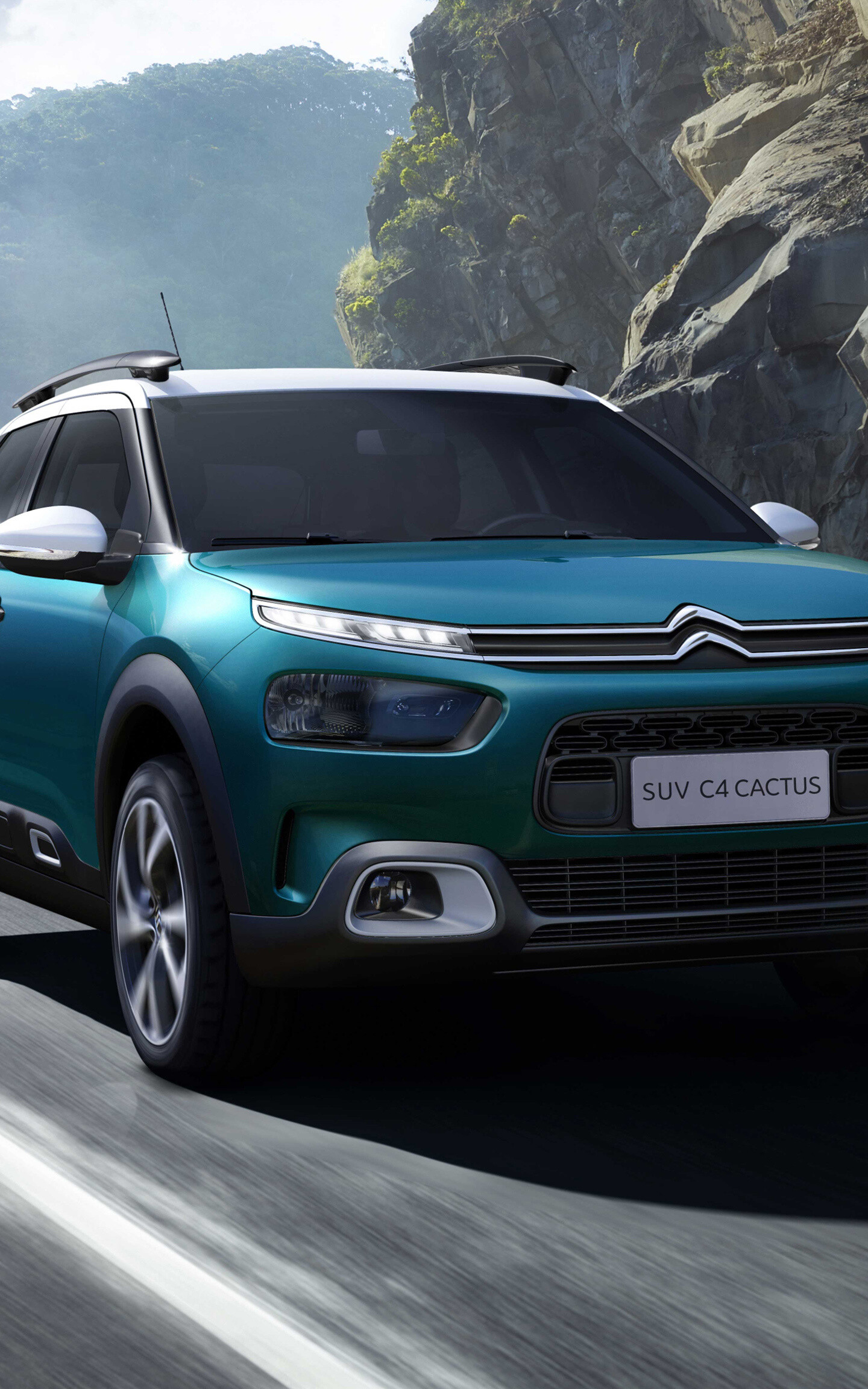 C4 Cactus, Citroen Wallpaper, 1440x2310 HD Phone