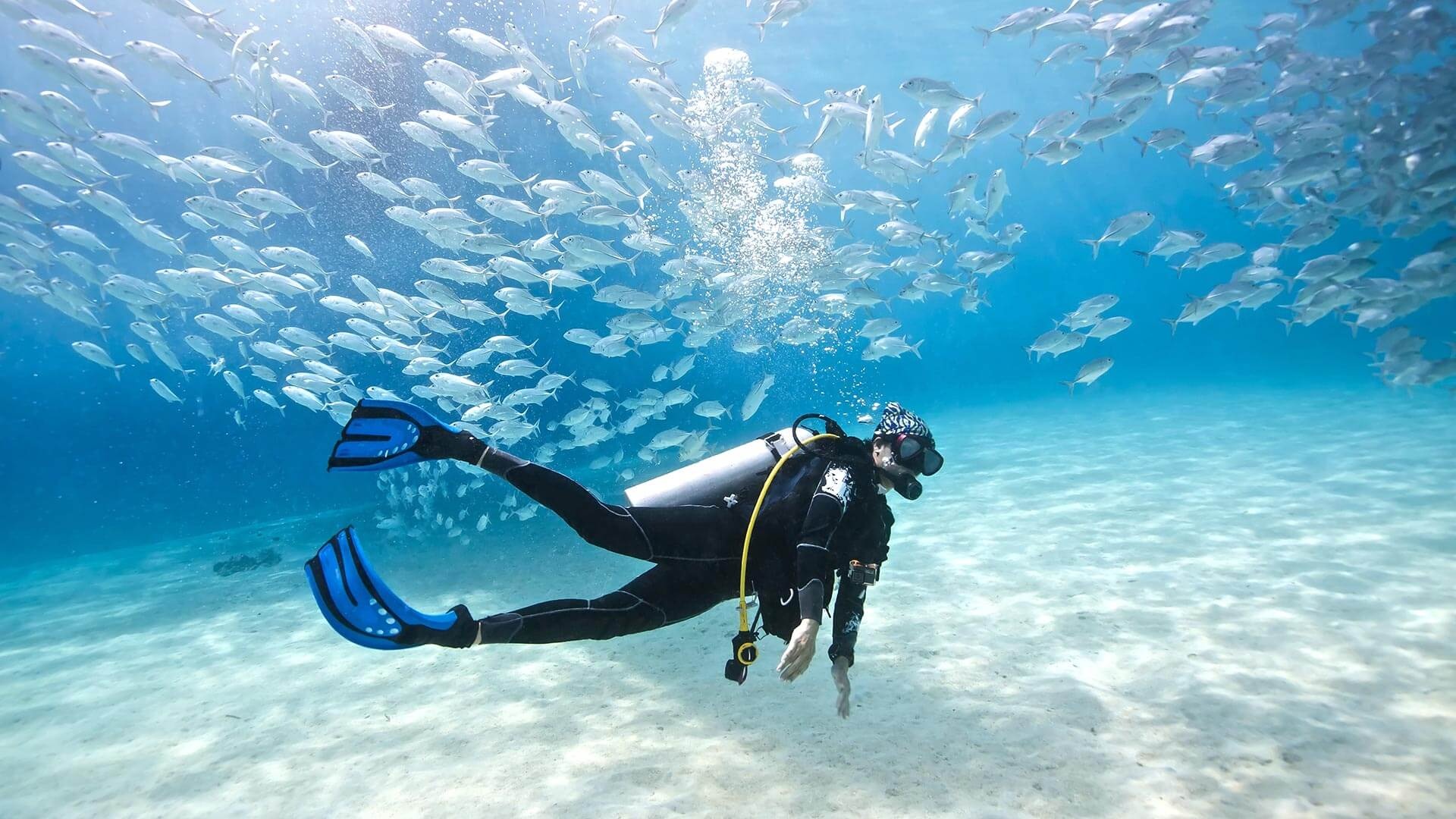 Scuba diving best, Sport in world, Unique experiences, Adventure sports, 1920x1080 Full HD Desktop