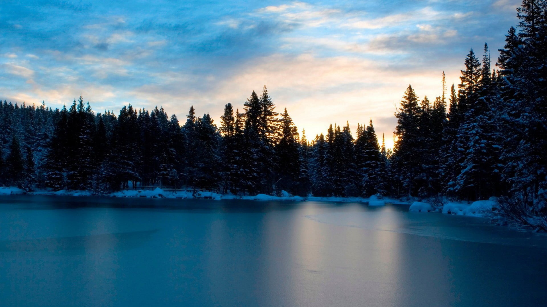 Pine Tree, Lake with trees, 1920x1080 Full HD Desktop