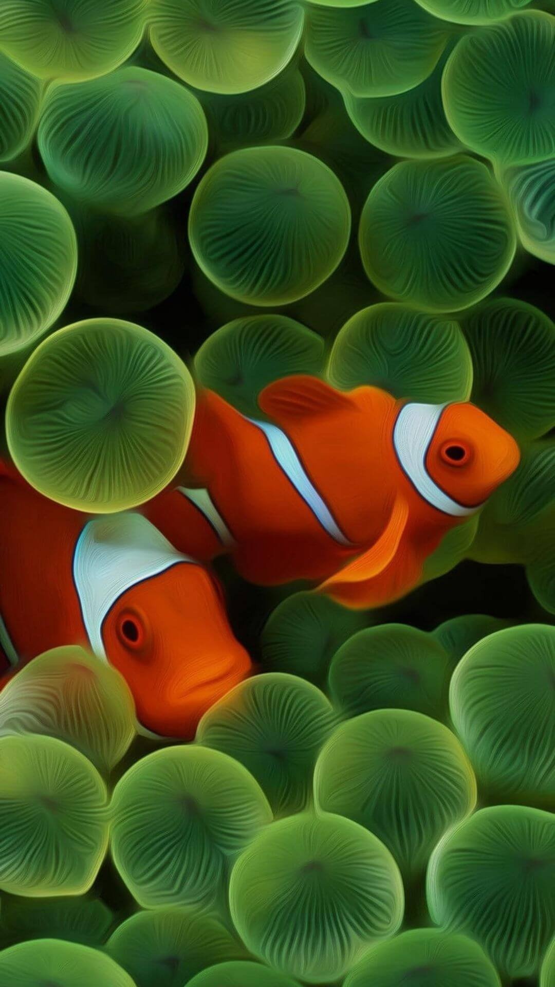 Clownfishes, Best iPhone Wallpaper, 1080x1920 Full HD Phone