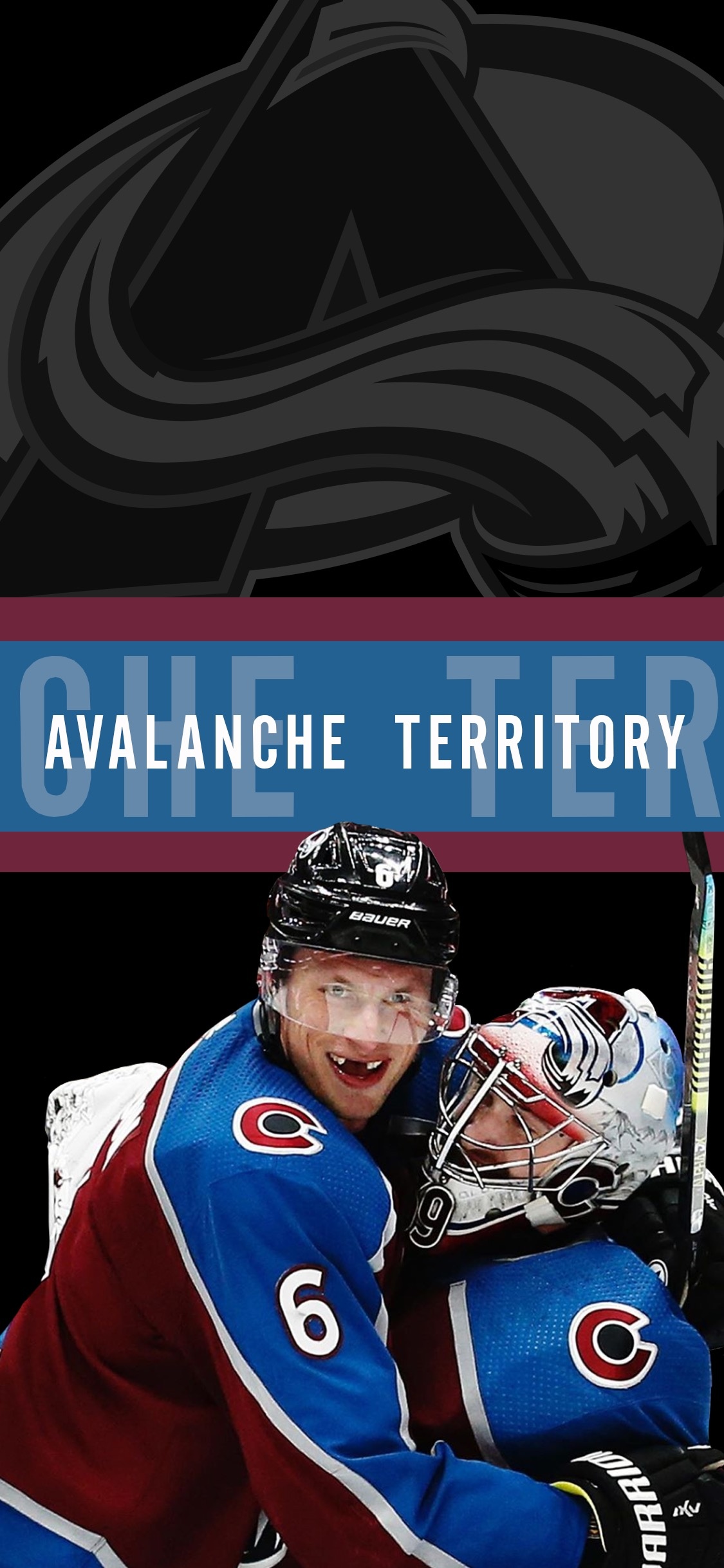 Pavel Francouz and Nathan MacKinnon, Colorado Avalanche Wallpaper, 1130x2440 HD Phone