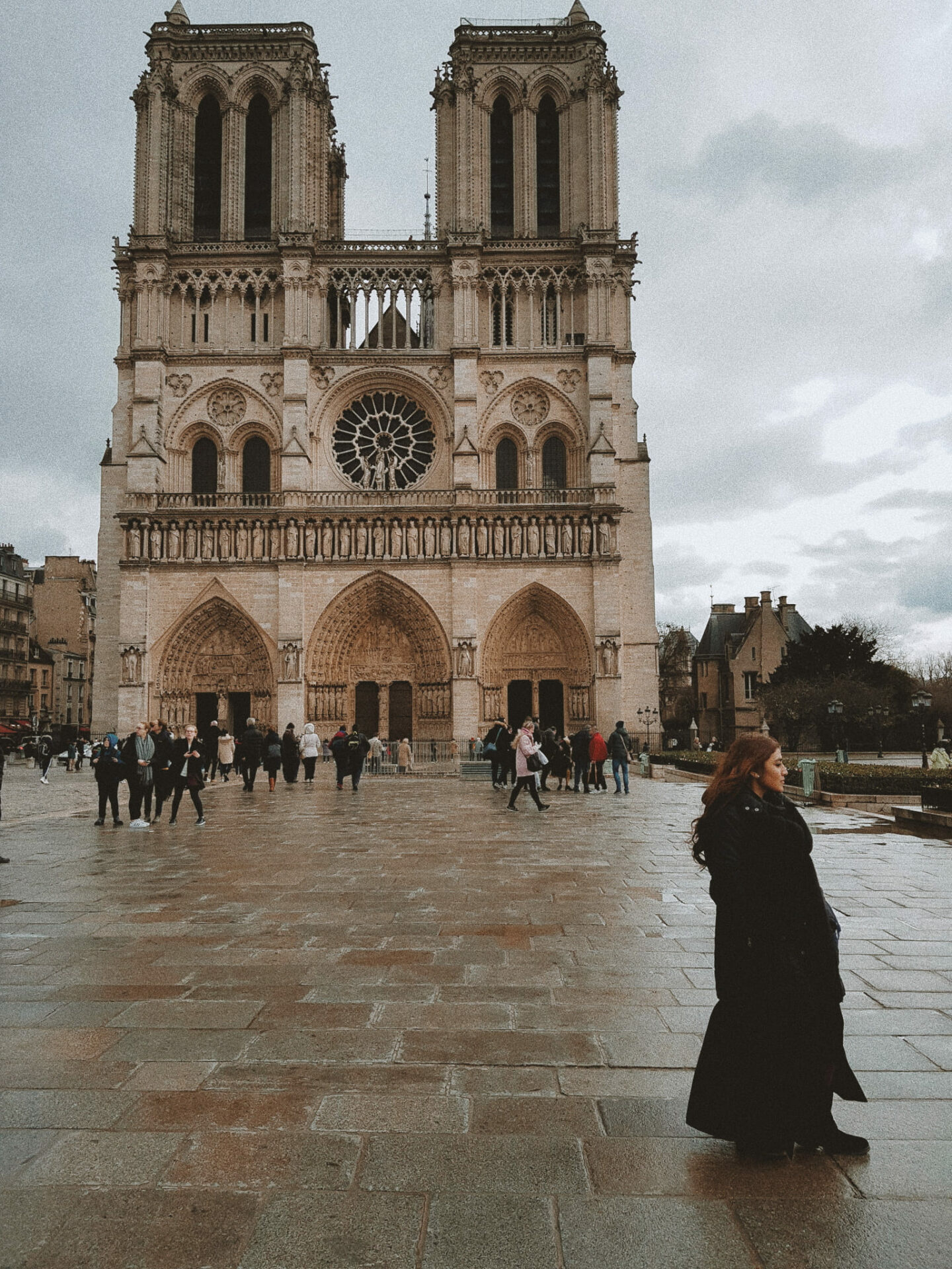 Notre-Dame Cathedral, Eternal symbol, Paris' heart, Cultural heritage, 1440x1920 HD Phone