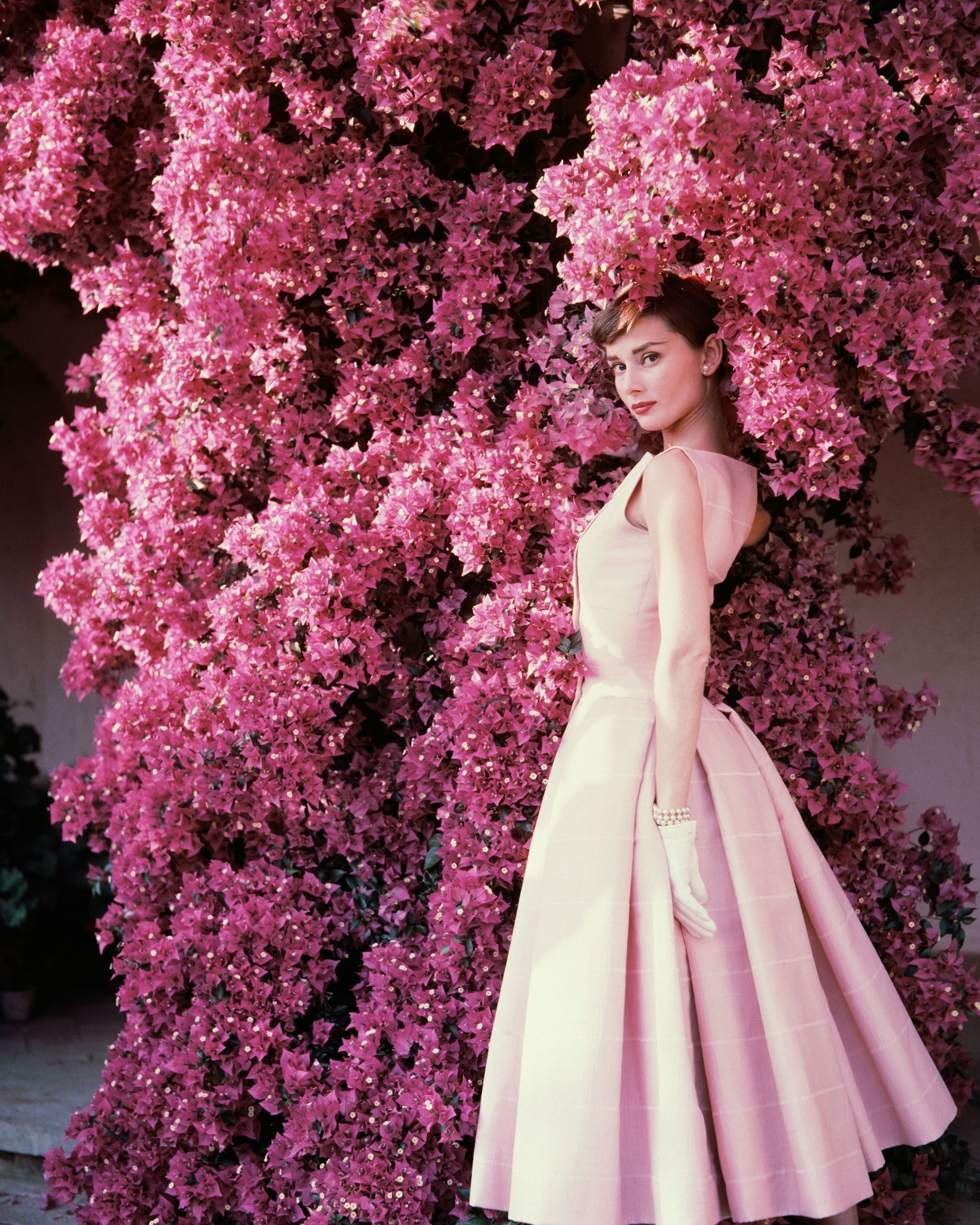 Vogue 1955, Audrey Hepburn Wallpaper, 2050x2560 HD Phone