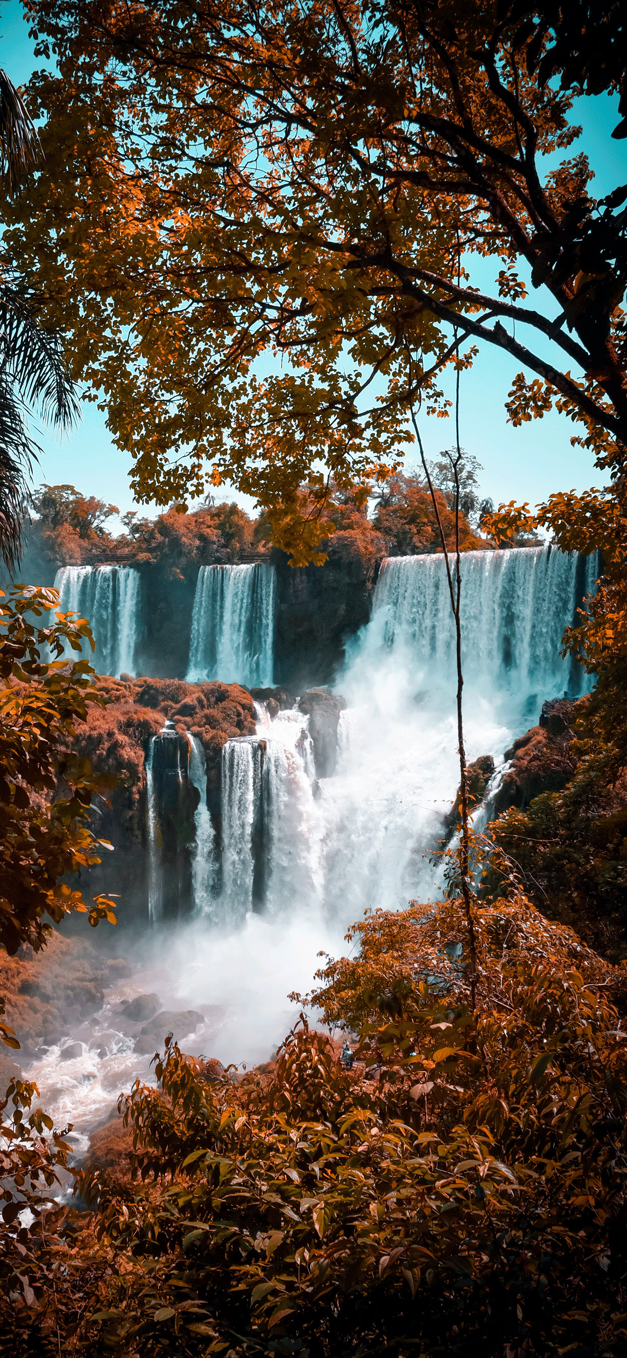 Autumn, Iguazu Falls Wallpaper, 1250x2690 HD Phone