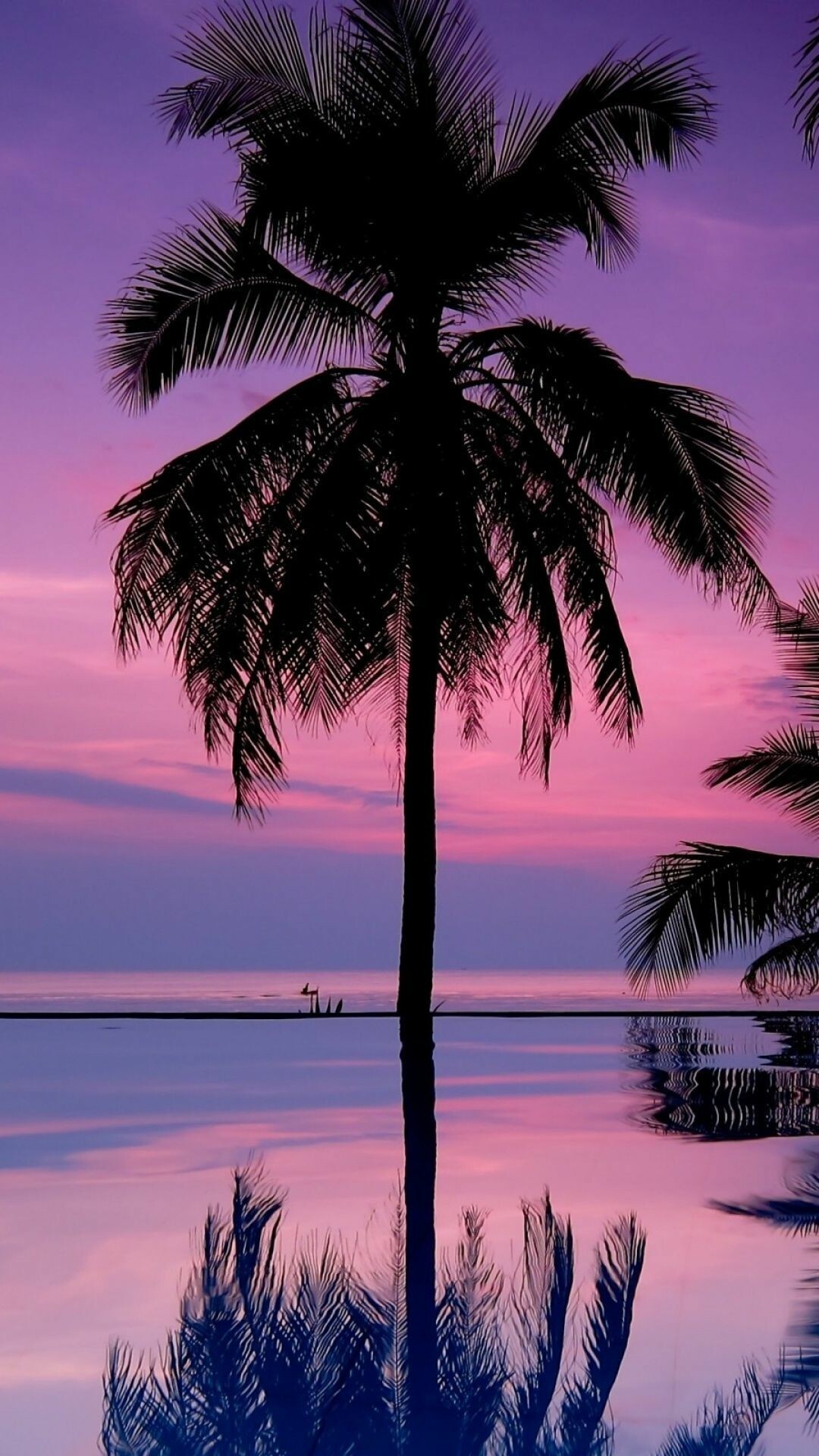 Cool palm tree wallpapers, Stylish visuals, Trendy design, Hip and modern, 1080x1920 Full HD Phone