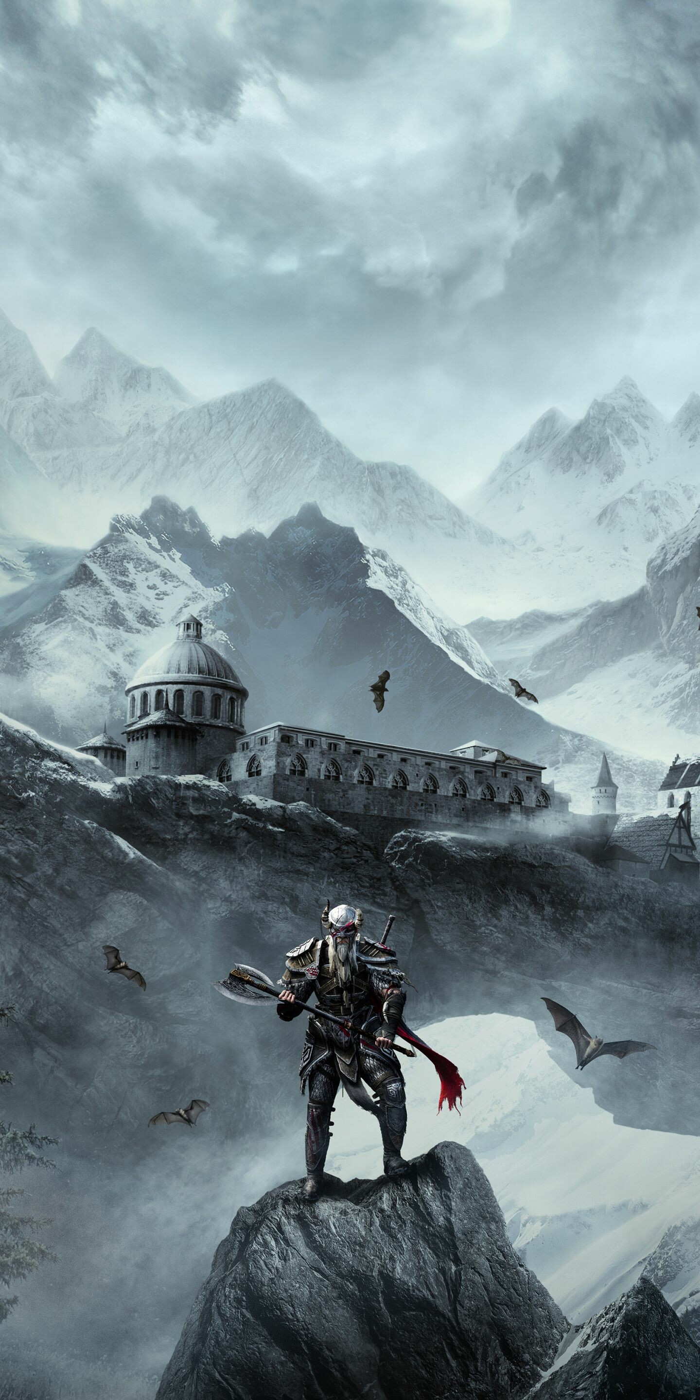 The Elder Scrolls gaming, Elder Scrolls Online Warrior, Online game, 1440x2880 HD Phone