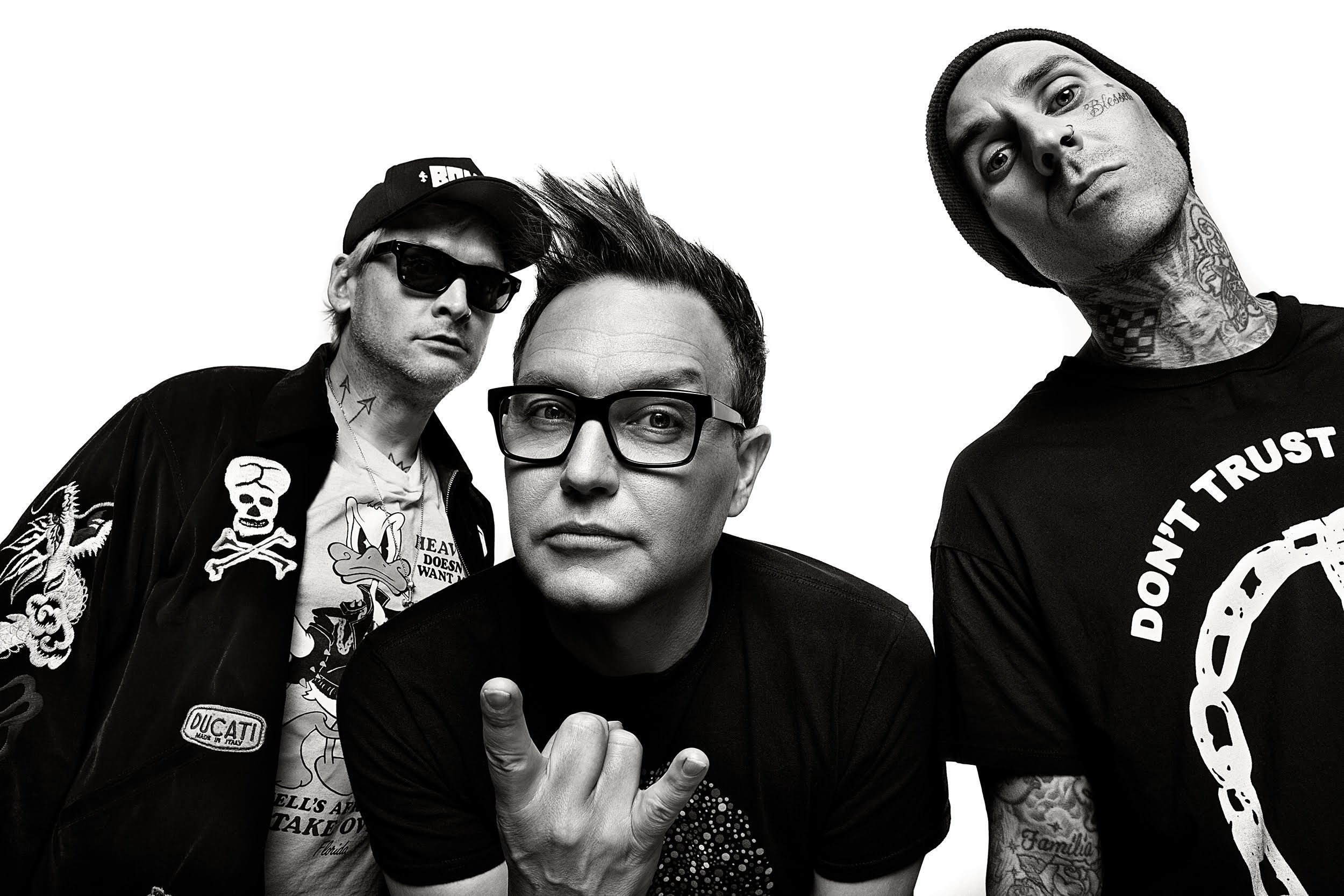 Matt Skiba, Blink 182, New single 'Blame It on My Youth', 2500x1670 HD Desktop