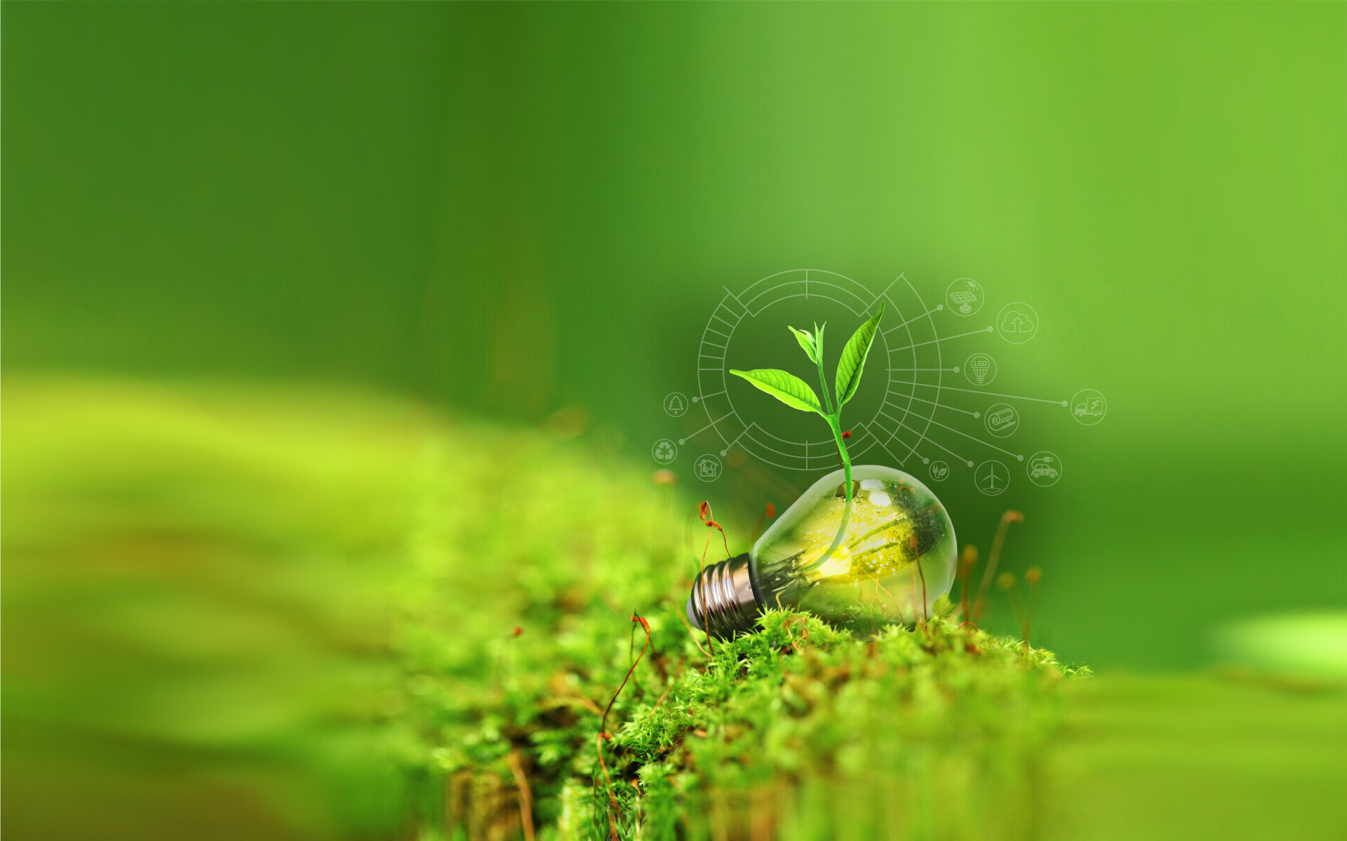 Go Green, High-definition wallpapers, Posted by Ryan Simpson, 1920x1200 HD Desktop