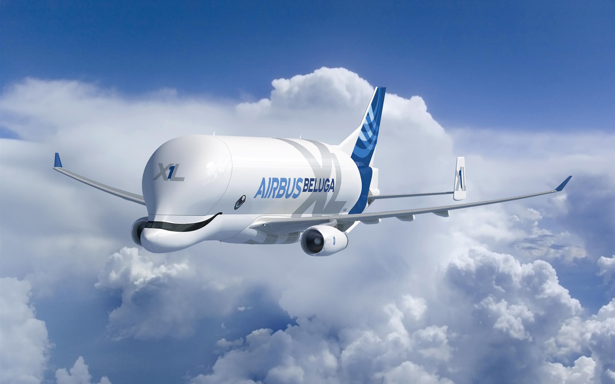 Airbus Beluga, A300 airplane wallpaper, 2560x1600 HD Desktop