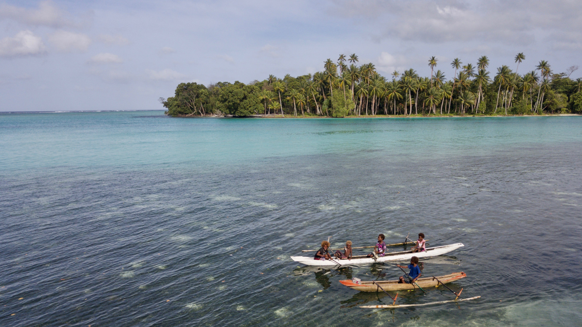 Bismarck Sea, Endangered species, Pristine beauty, Papua New Guinea wonders, 1920x1080 Full HD Desktop