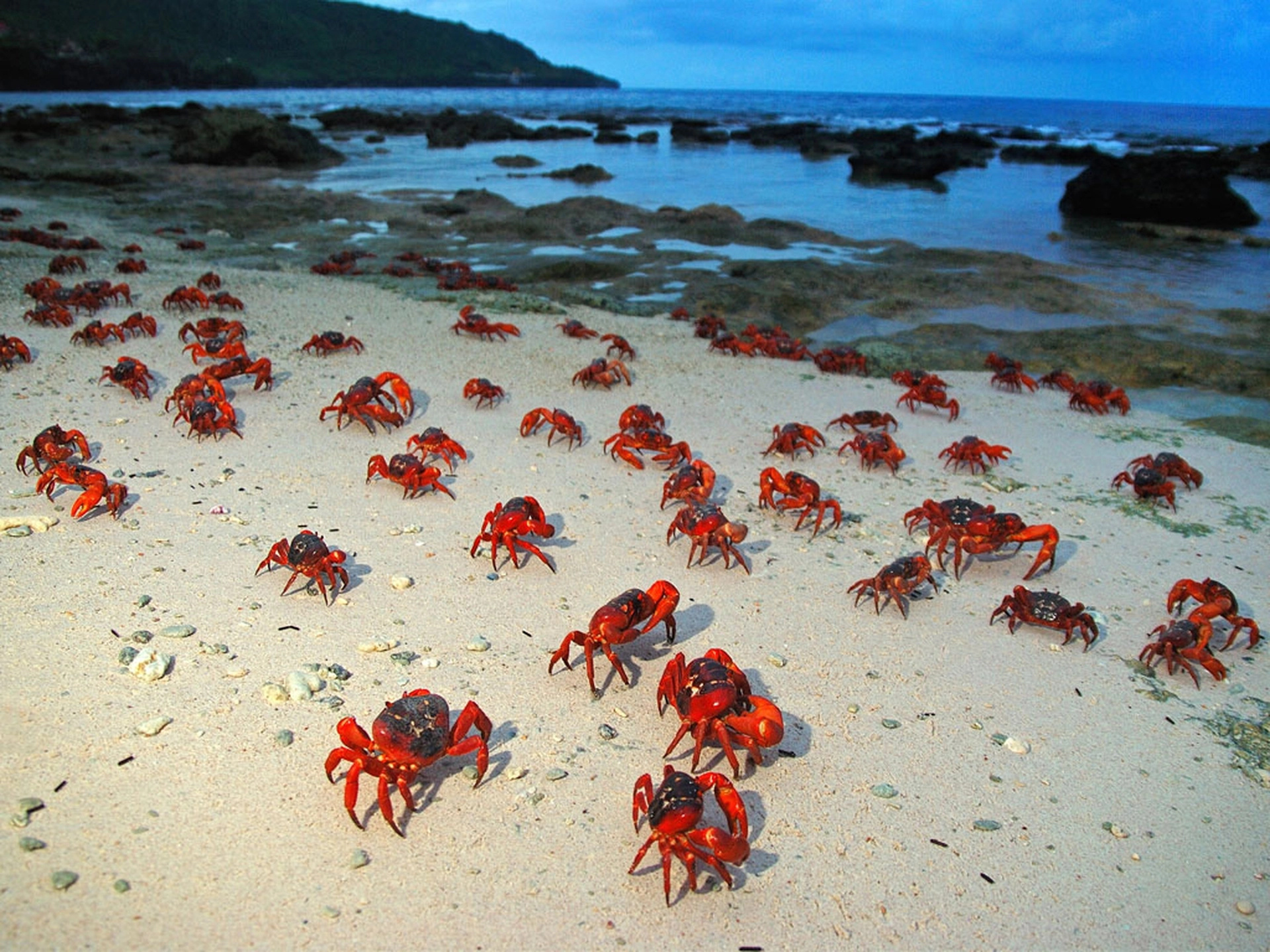 Christmas Island, Wonders, 1920x1440 HD Desktop