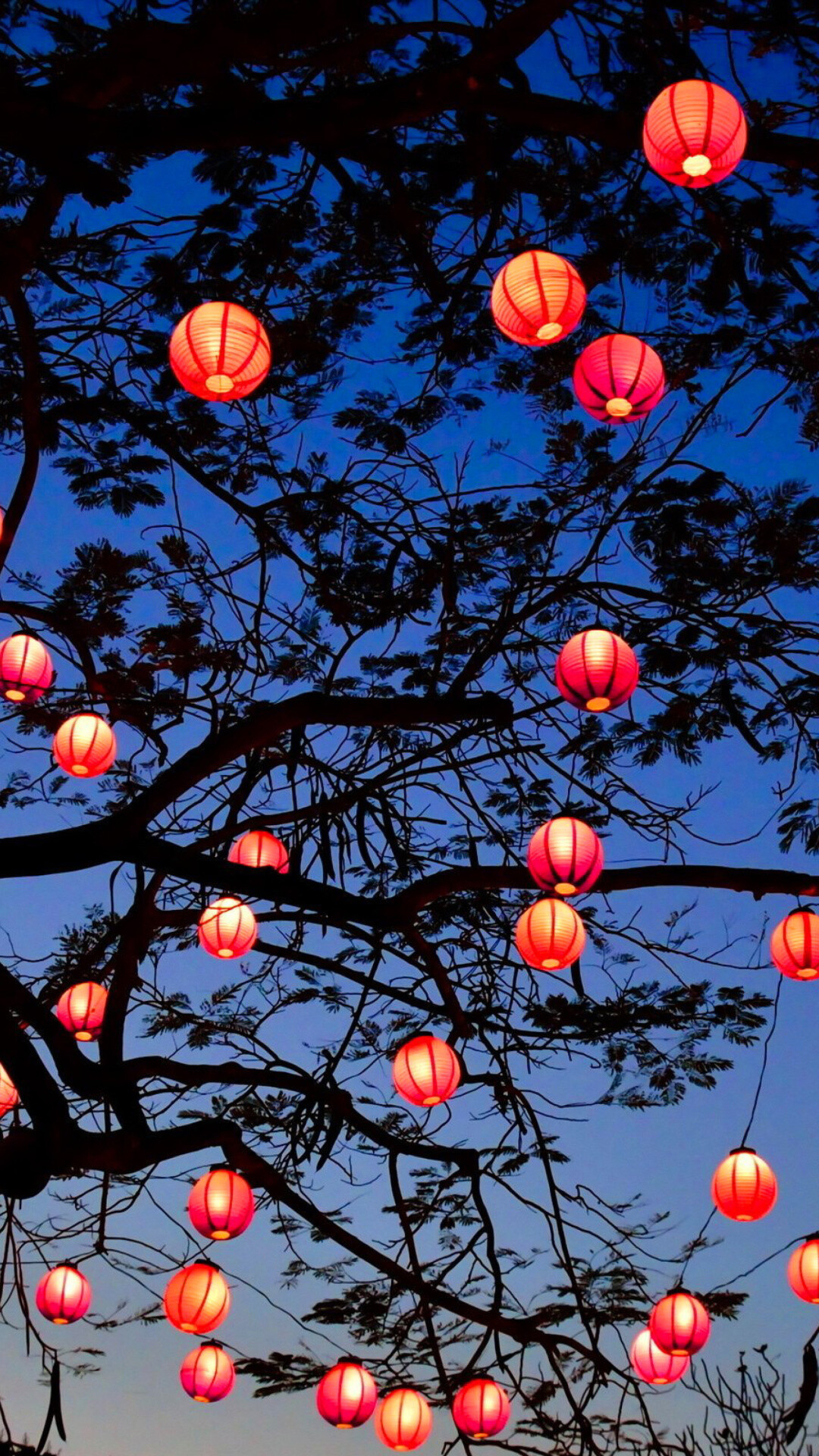 Chinese new year, Lanterns, Festive decoration, Cultural celebration, 1080x1920 Full HD Phone